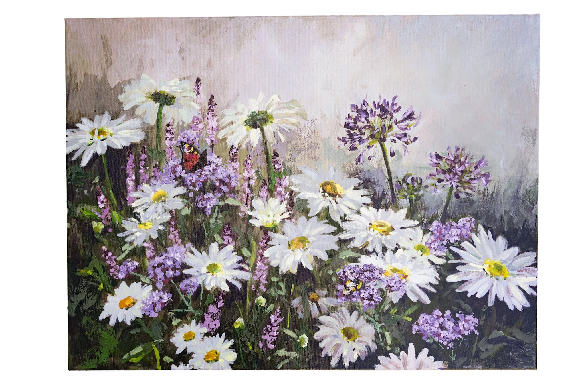 Among the Daisies