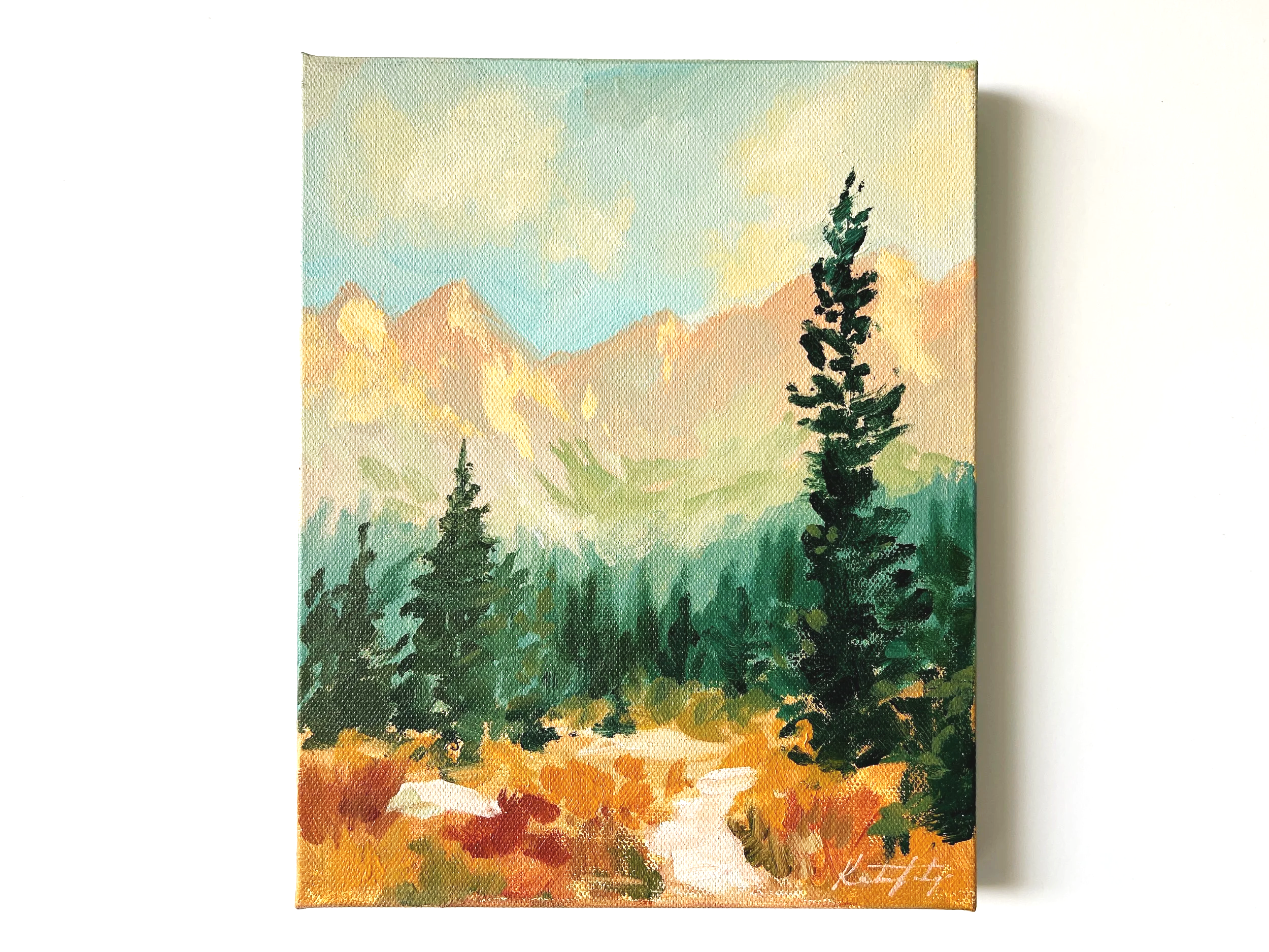 Mountain Study