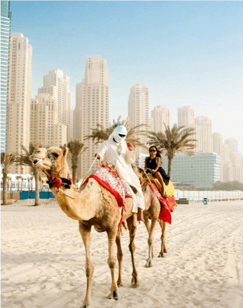 camel-riding.png