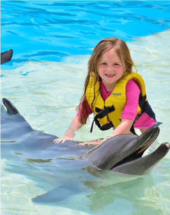 dolphin-encounter.png