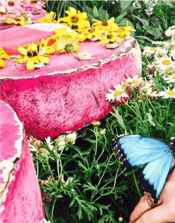 dubai-butterfly-garden.png