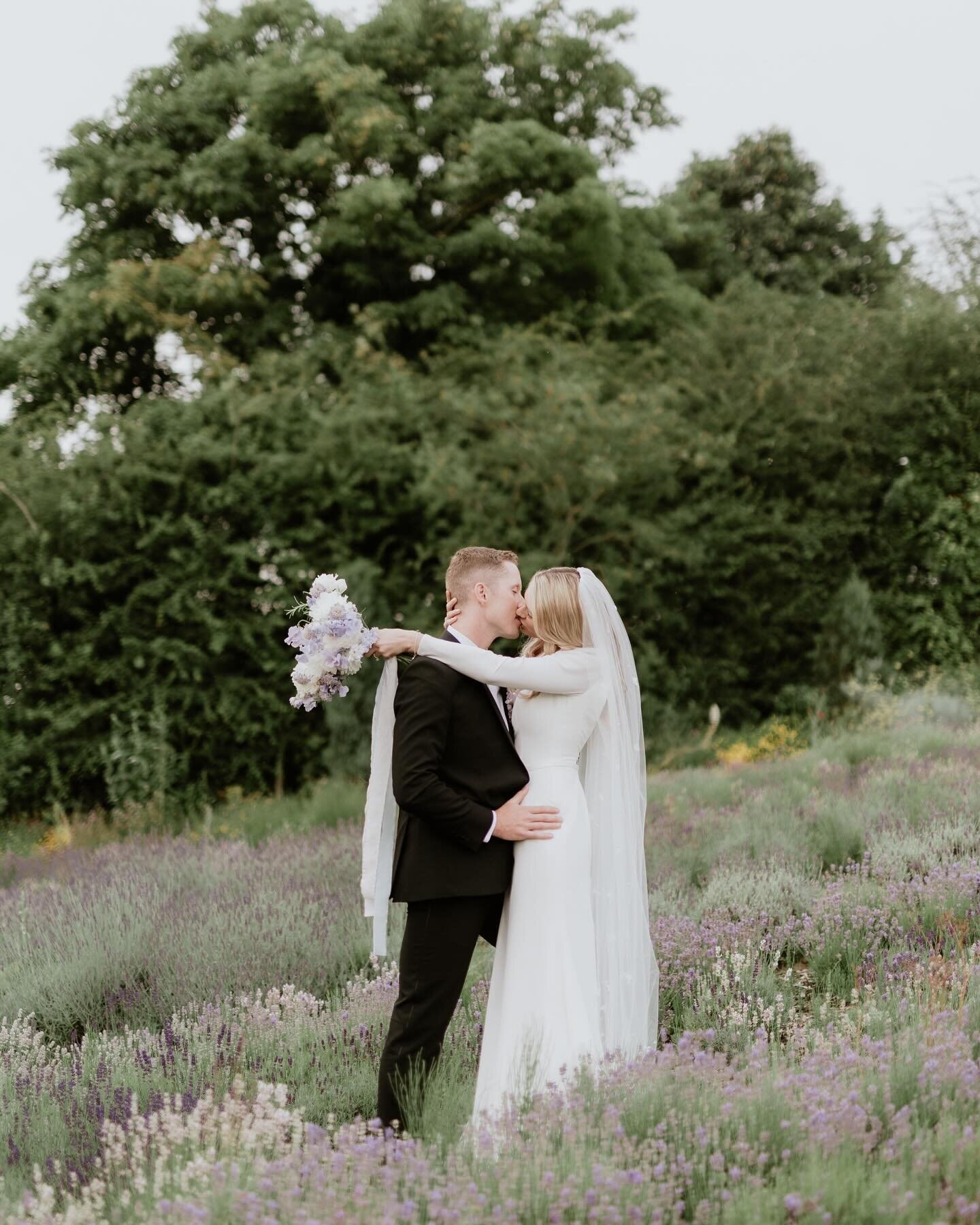 Provence lavender field collaboration with the incredible @amandawhiston_weddings and @katie.olivier.blooms 

One of my favourite things to do throughout the season, and the down season, is to collaborate with planners and vendors on editorials. 

We