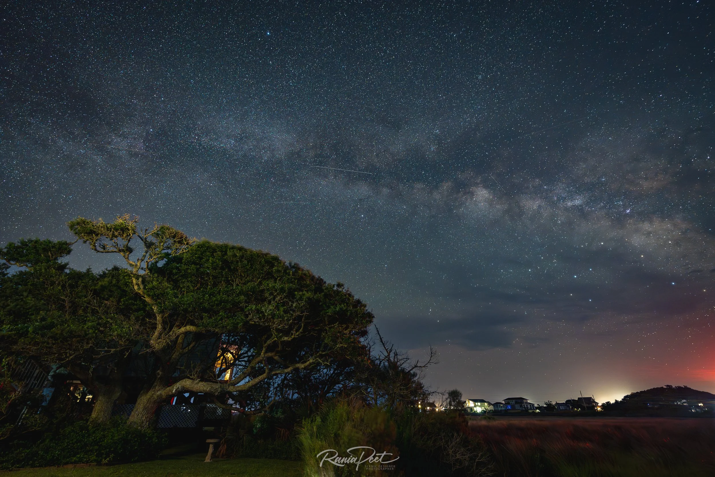 Backyard July 13th.JPG