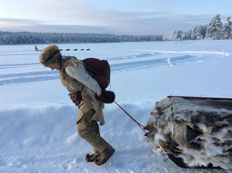 lynx arctic 480.png