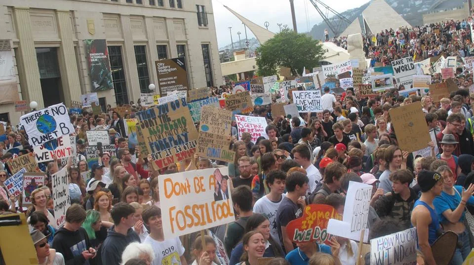 FridaysforFuture - school strike for climate, Wellington March 15th 2019