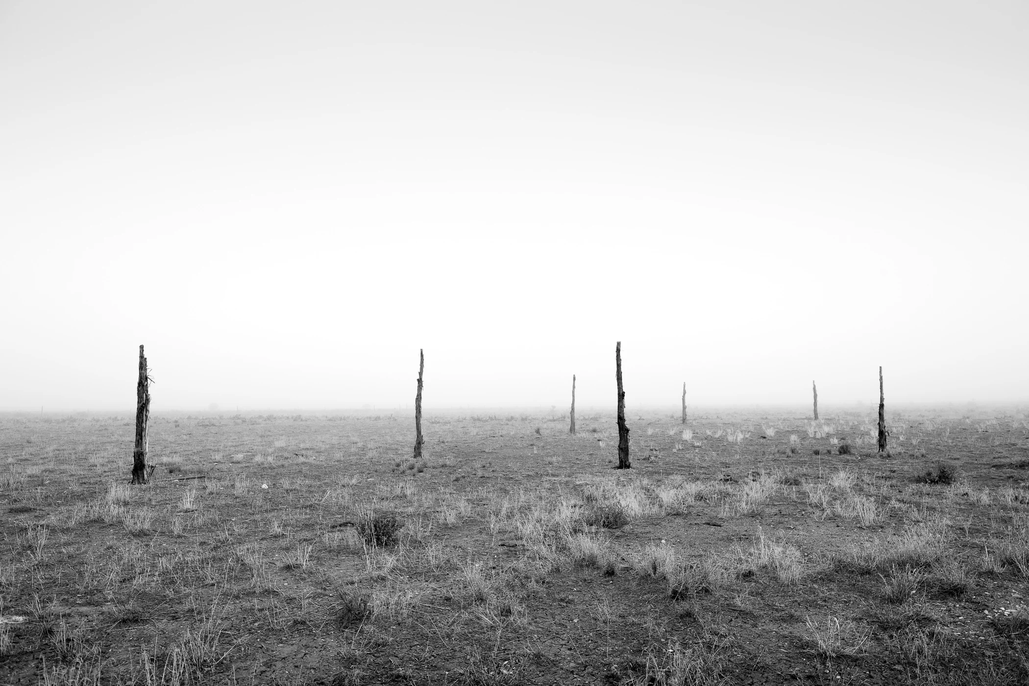 Seven Fence Posts