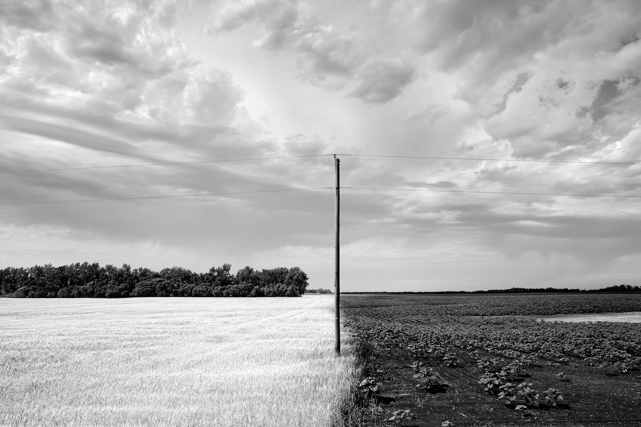 Split Fields and Pole, North Dakota