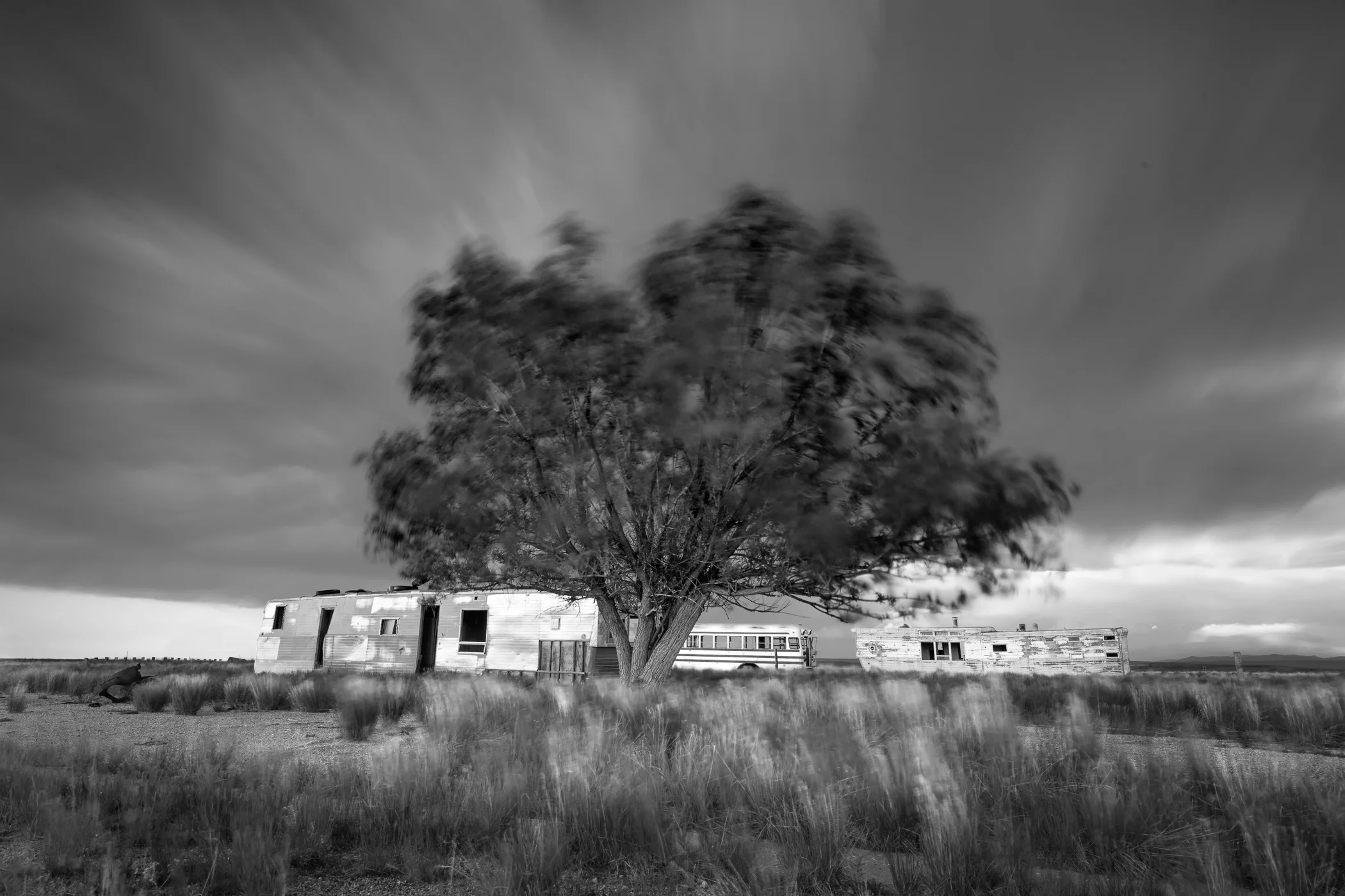 Tree and Trailers, Shirley Basin, Wyoming