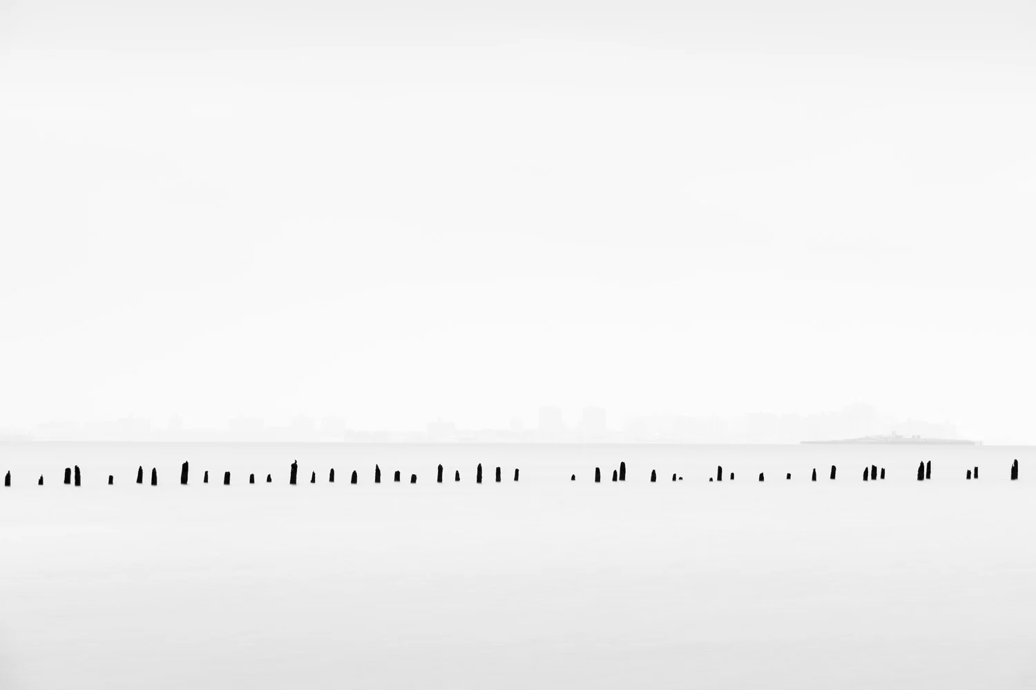 181120_PilingRow_StatenIsland_NewYork.jpg