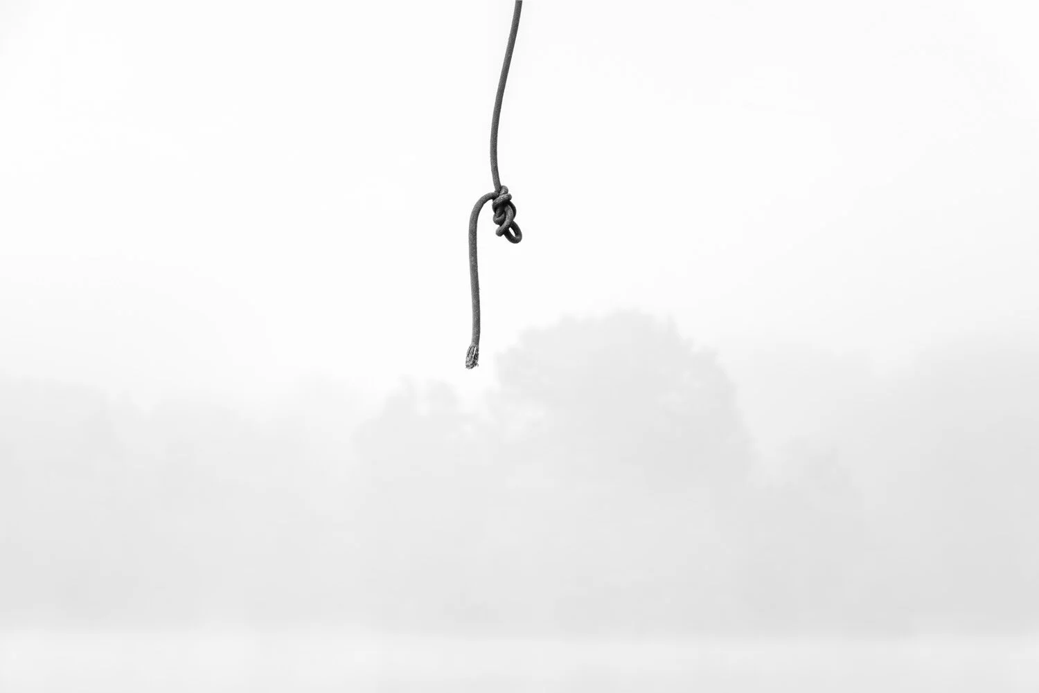 Rope In Fog, New York
