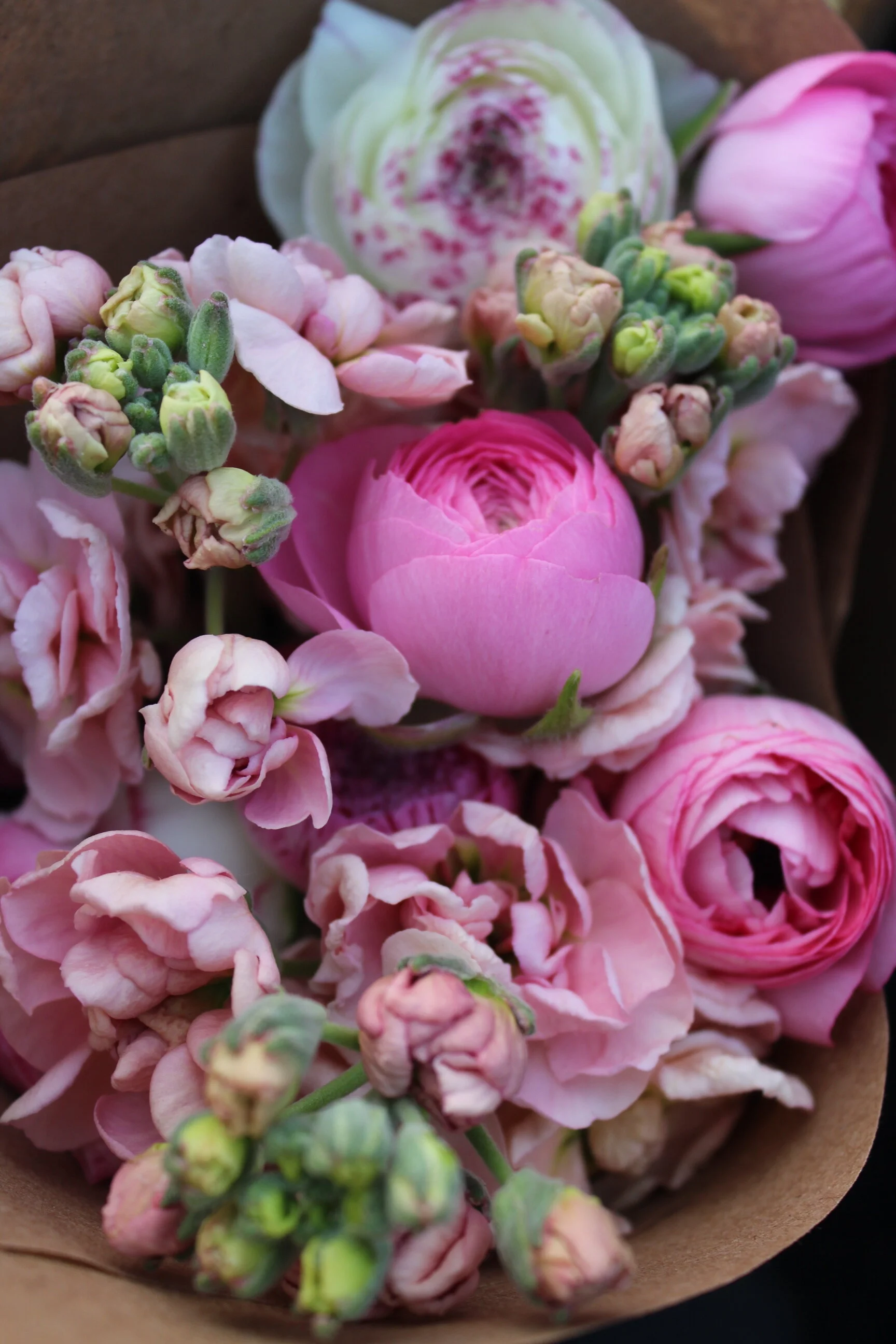 Southern Vermont Flower Farm Tapalou Guilds