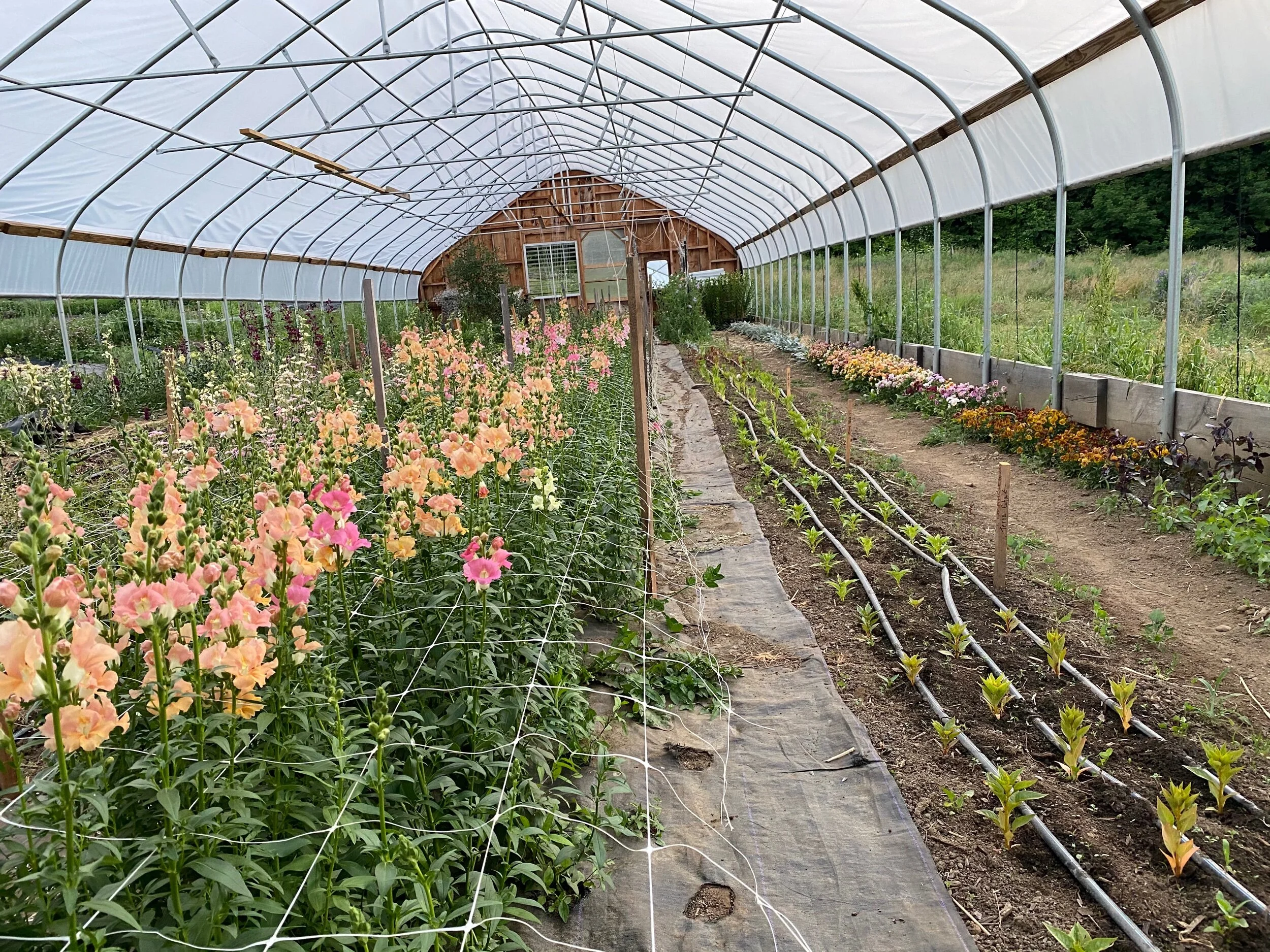 A3F993B0-F908-473D-8237-57757A400952 (Copy)