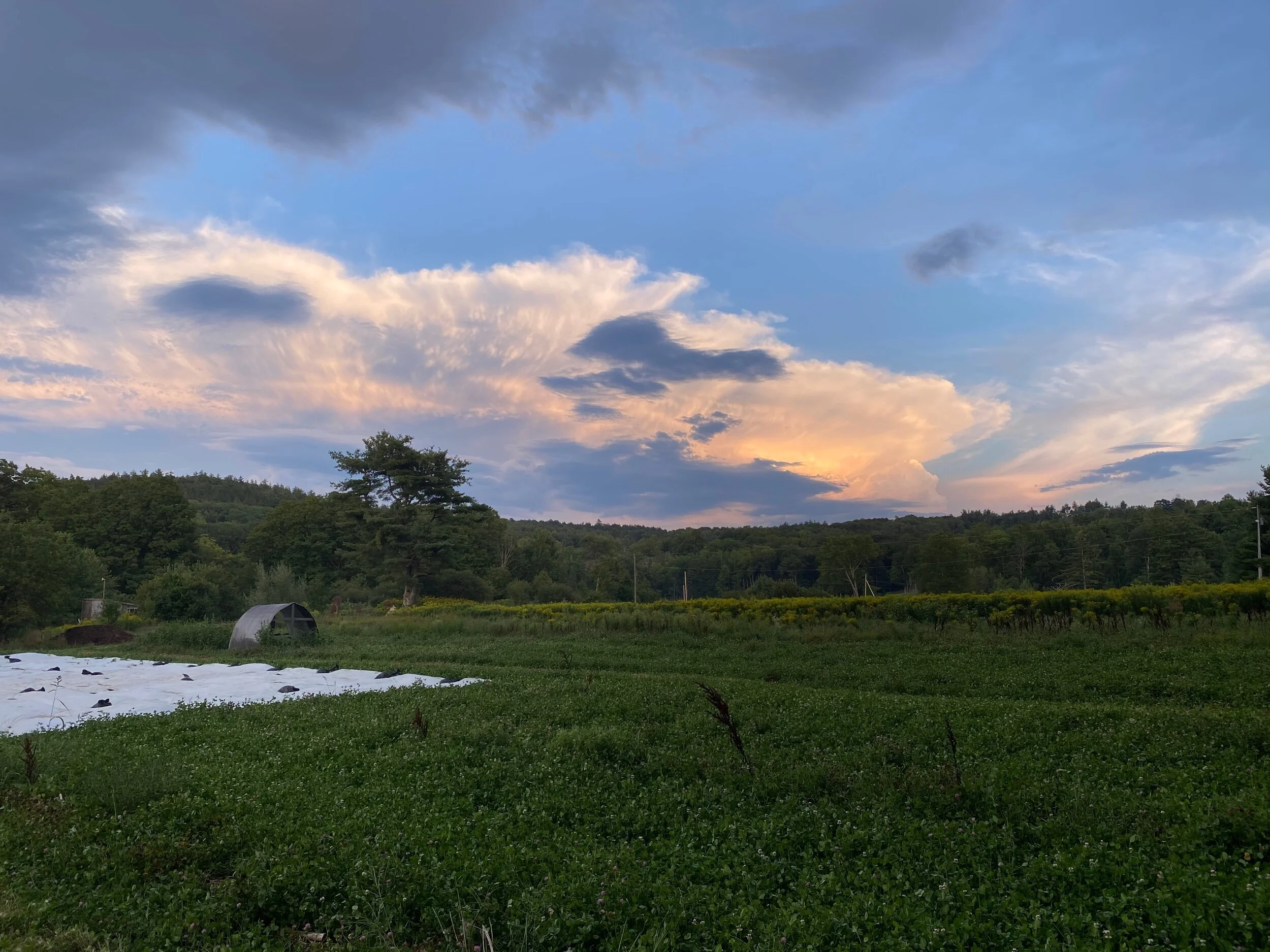 1728BCF9-6B0F-42BB-9350-9DDC238F6389 (Copy)