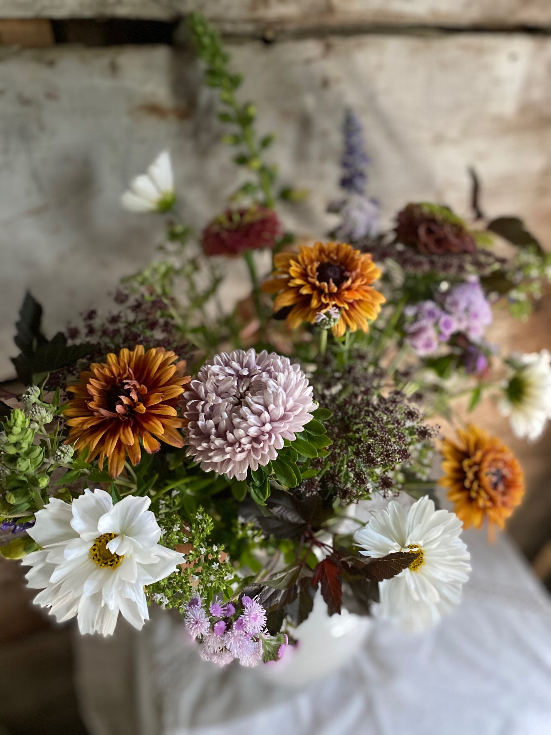 CBF53840-10DB-40D7-A405-E327AA6E965E