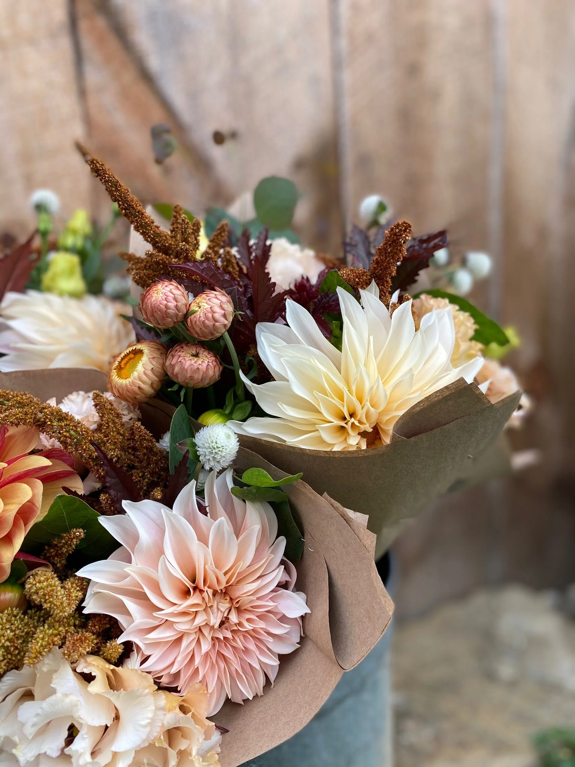 23278AB2-B029-4A94-8B57-9469CB5D6D68