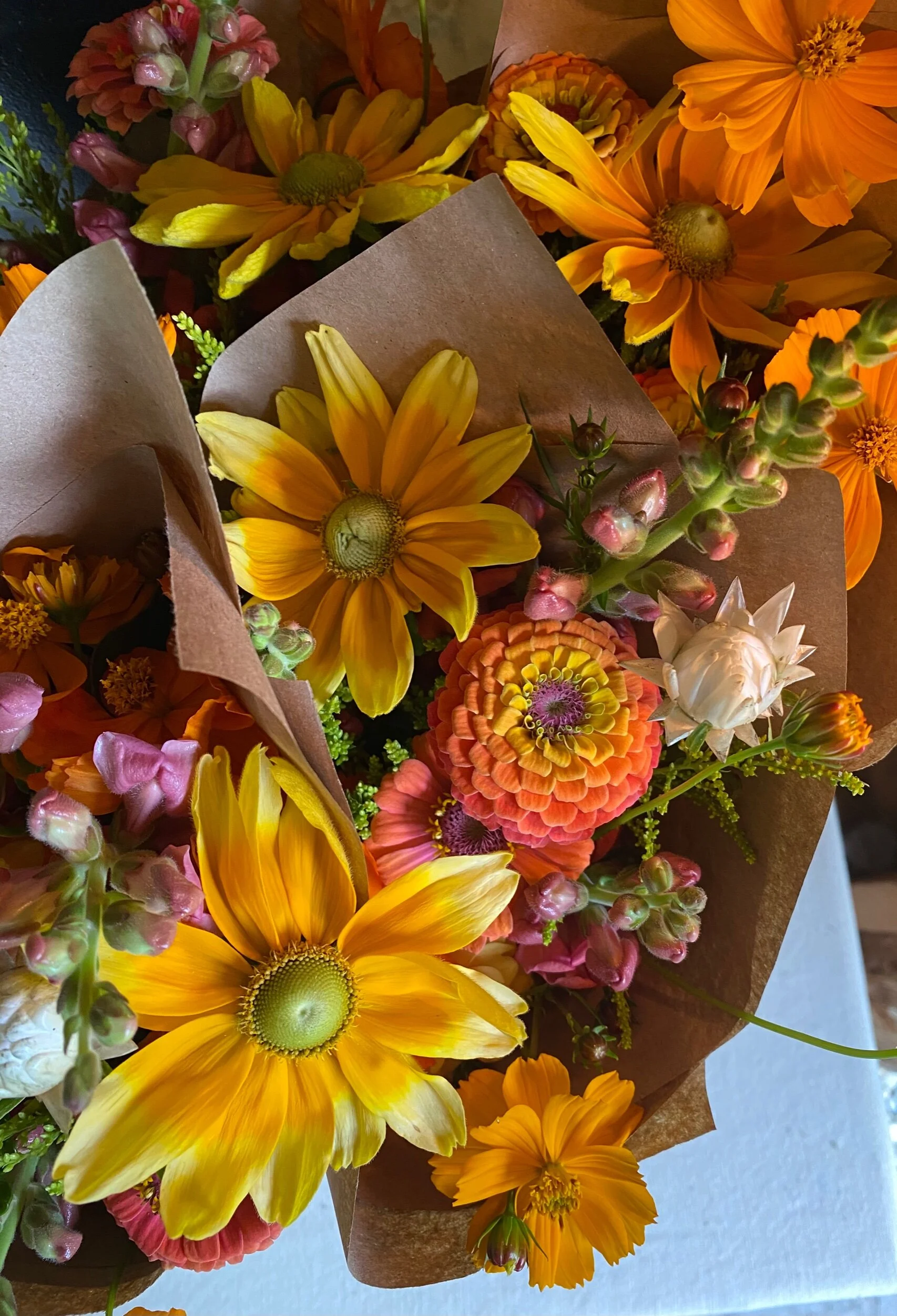 EAD3621F-90D1-4E7C-9434-9B4898CD28FB