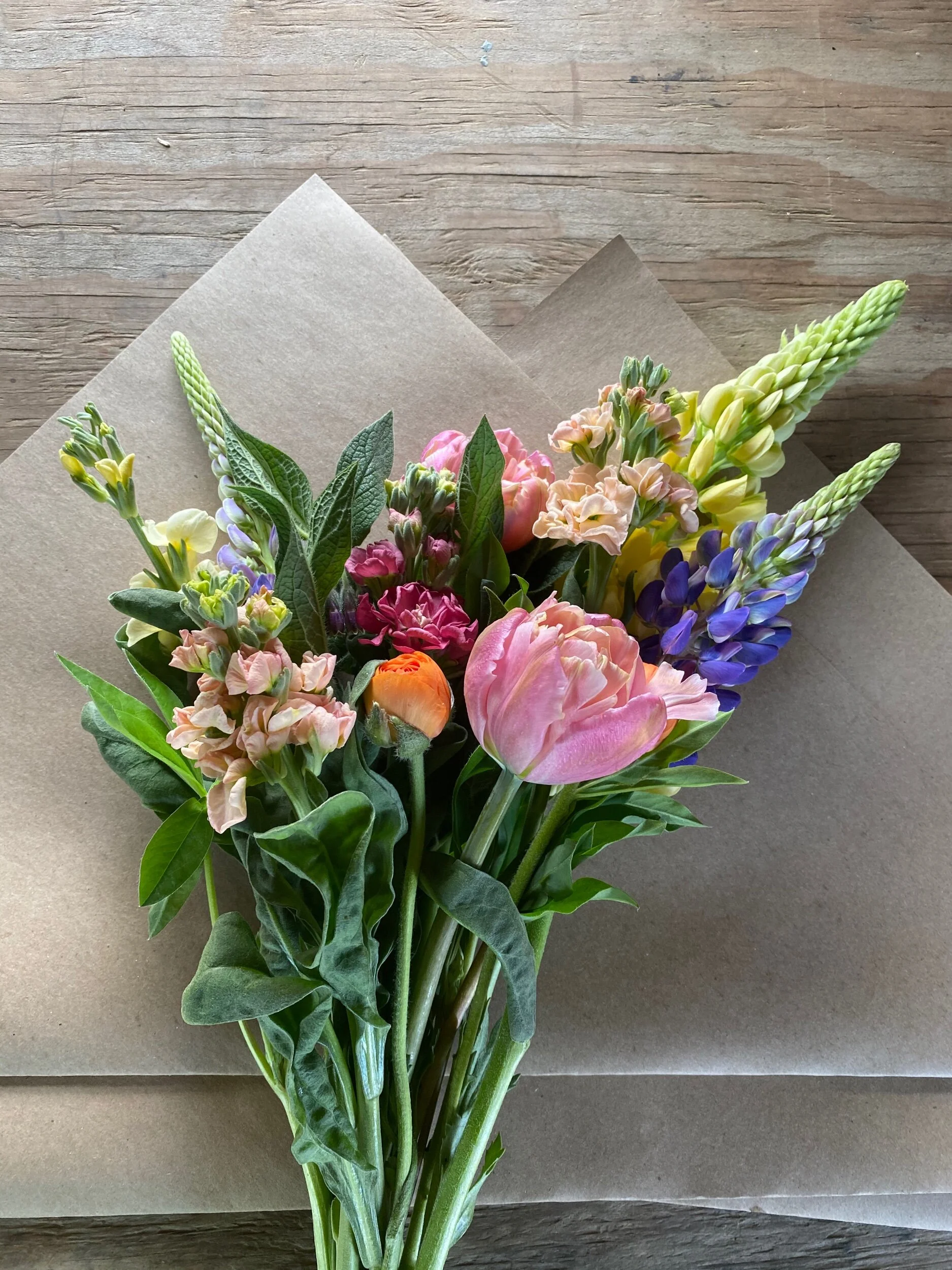 E5CF5650-C40C-419F-BCB7-C20ADA2482CE