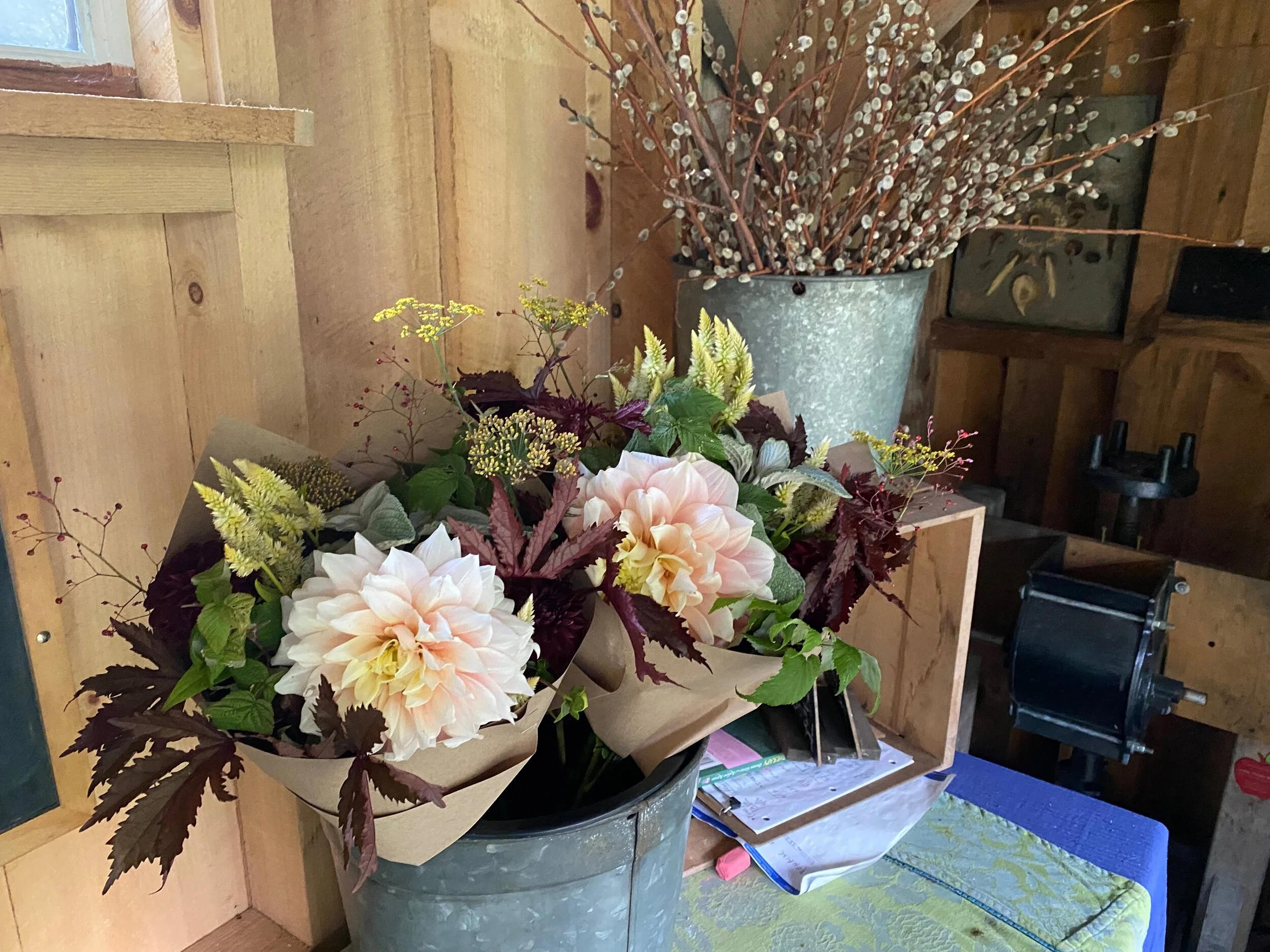 0B607100-793B-4A6D-B6B4-E2A1631152F1