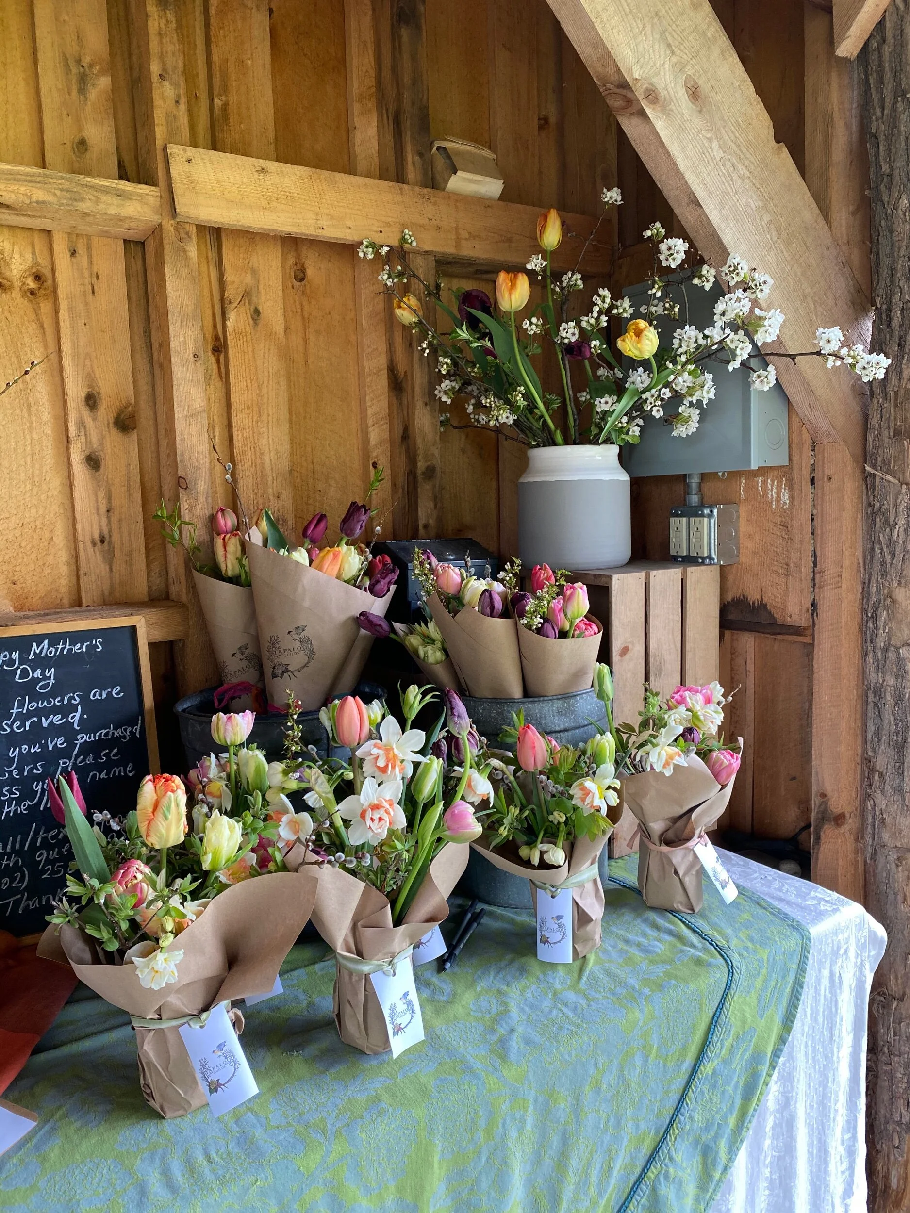 36D442F7-C7B5-488A-BA25-0D7BE116C854