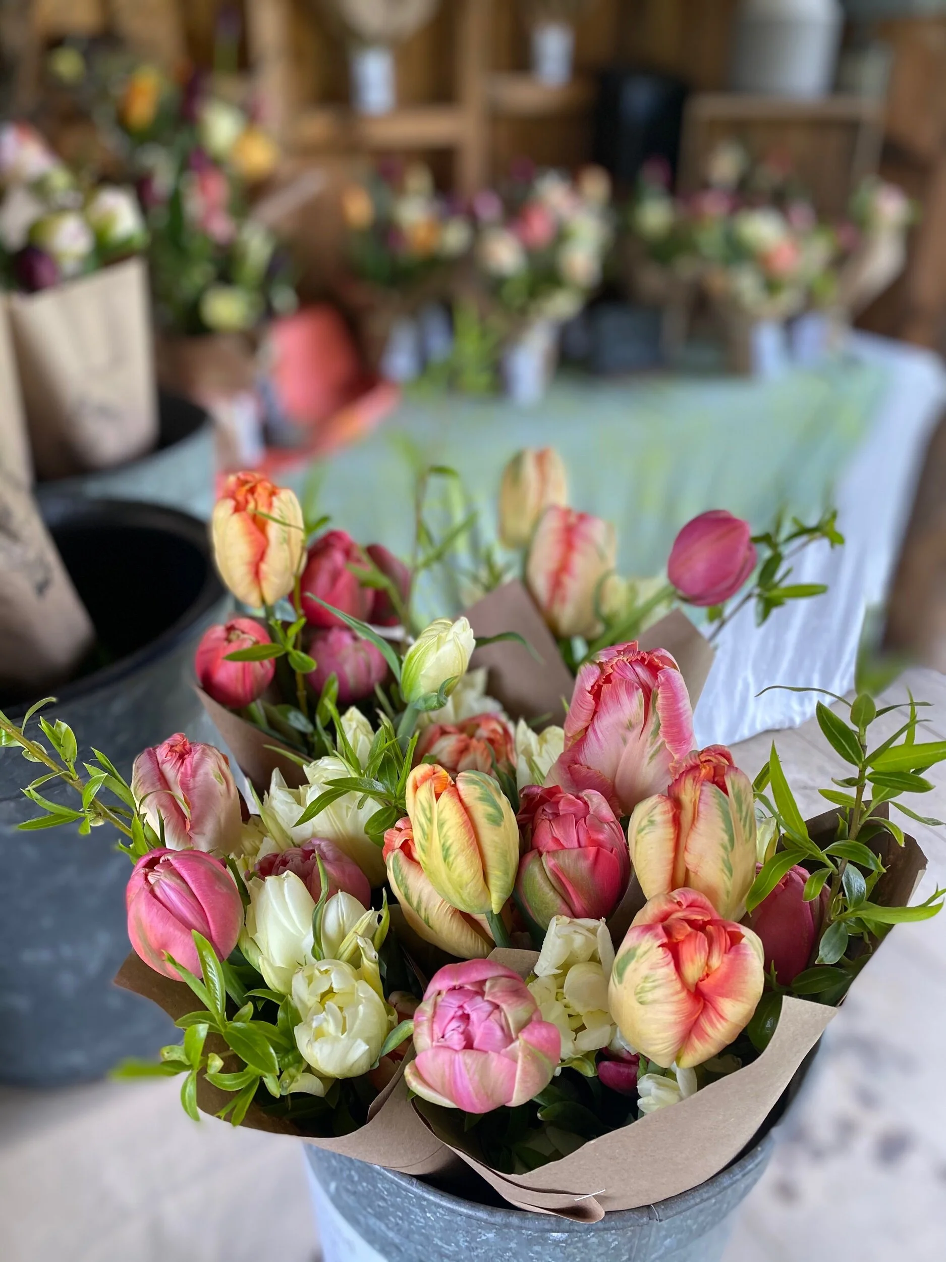 E9D1D5B9-3374-472E-9654-CB8436FCCC7D