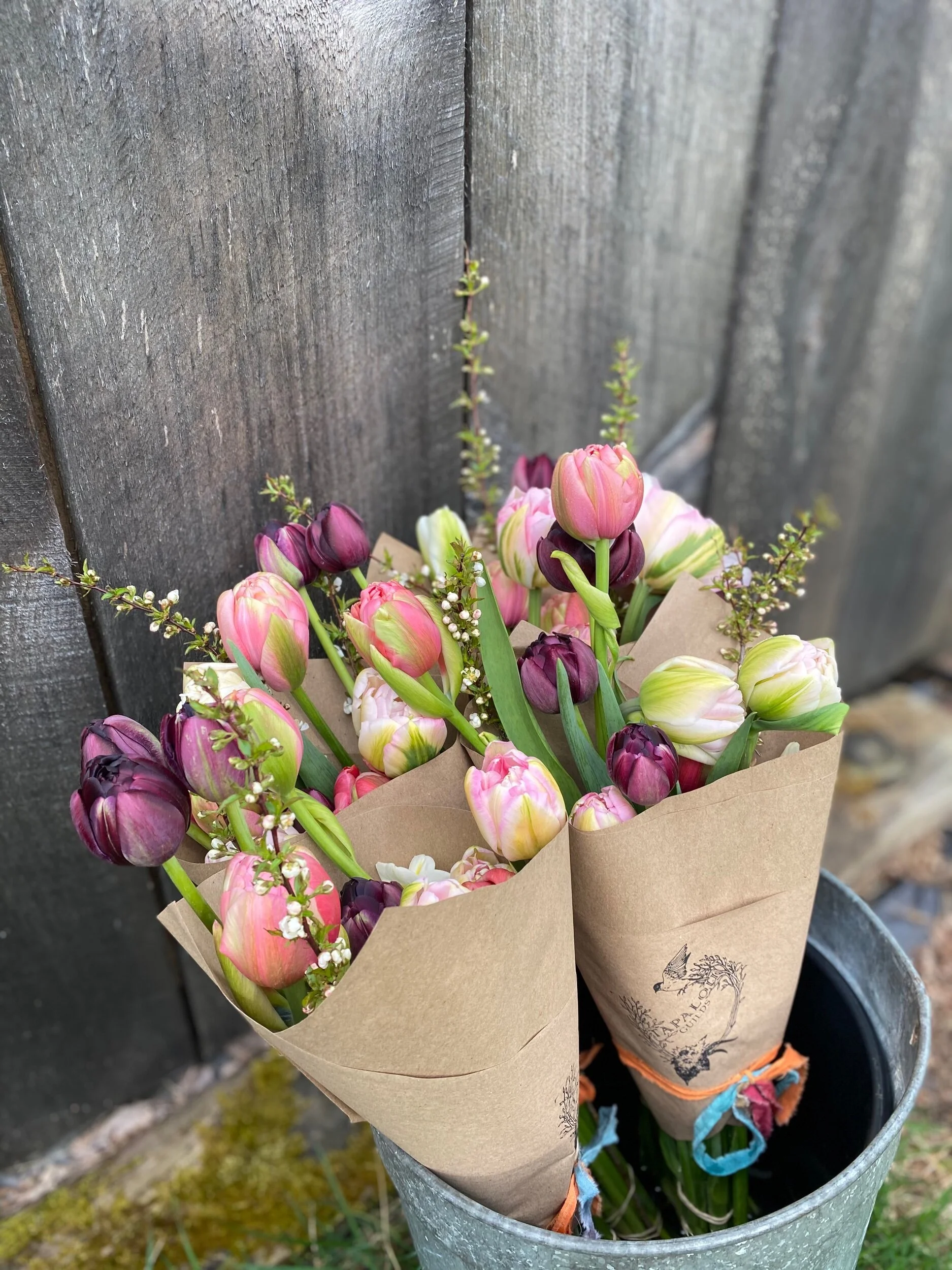 B42D469D-F2ED-4365-95D7-FA442B75B79C