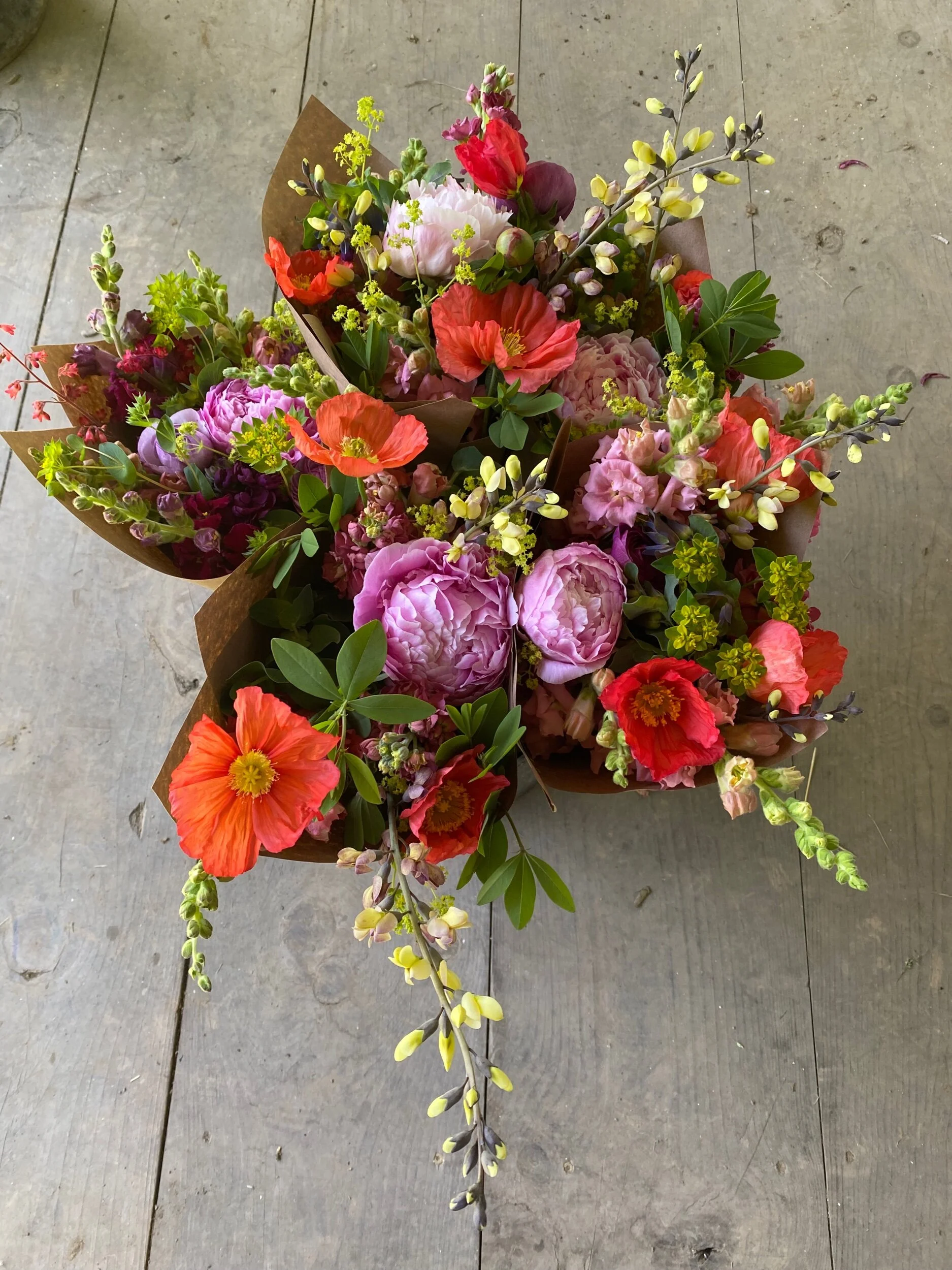 AD6A72F9-2753-478F-B29E-289FB332260A