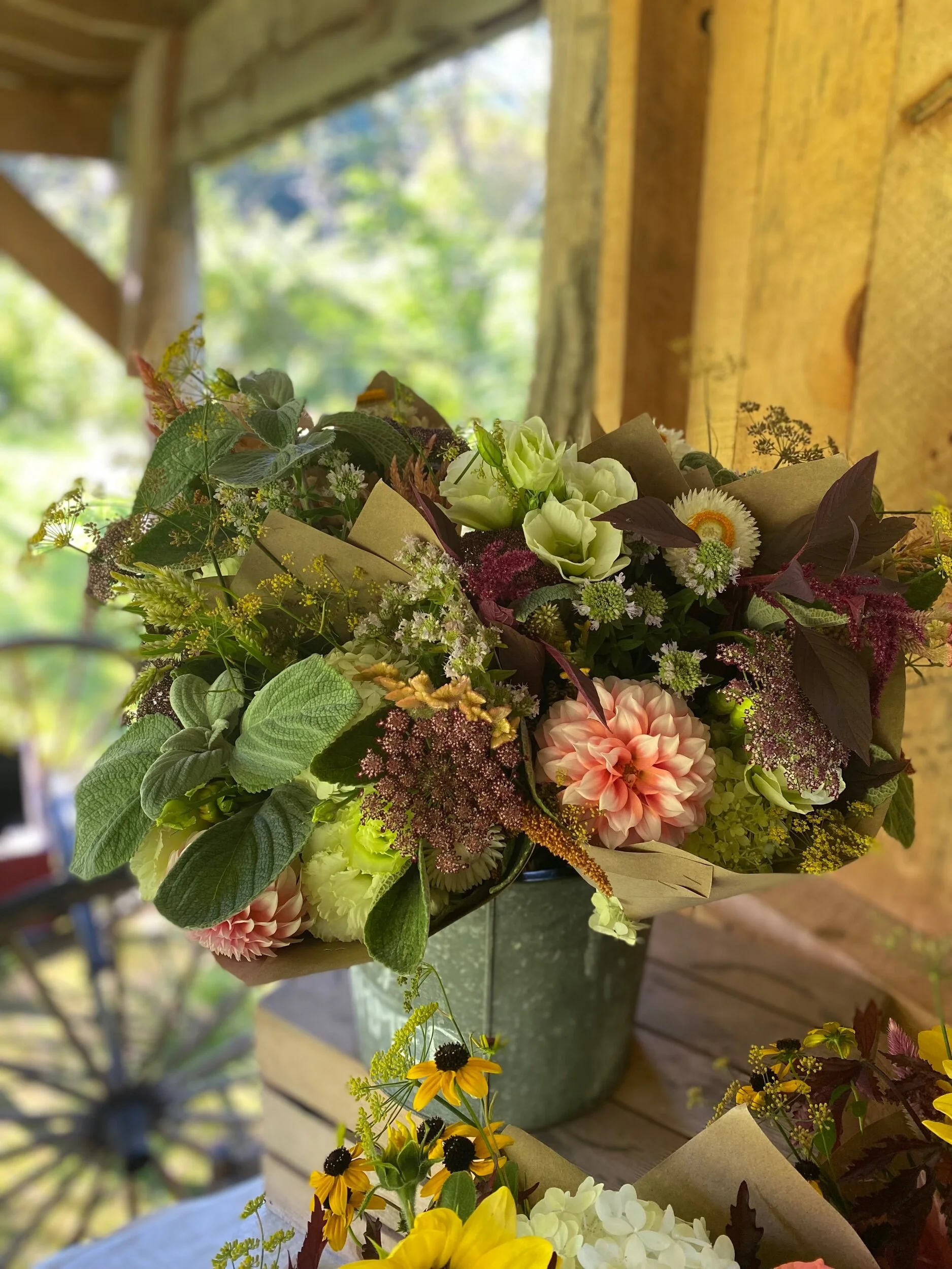 C7643CA2-E13C-479F-A180-31CFC79A11BB