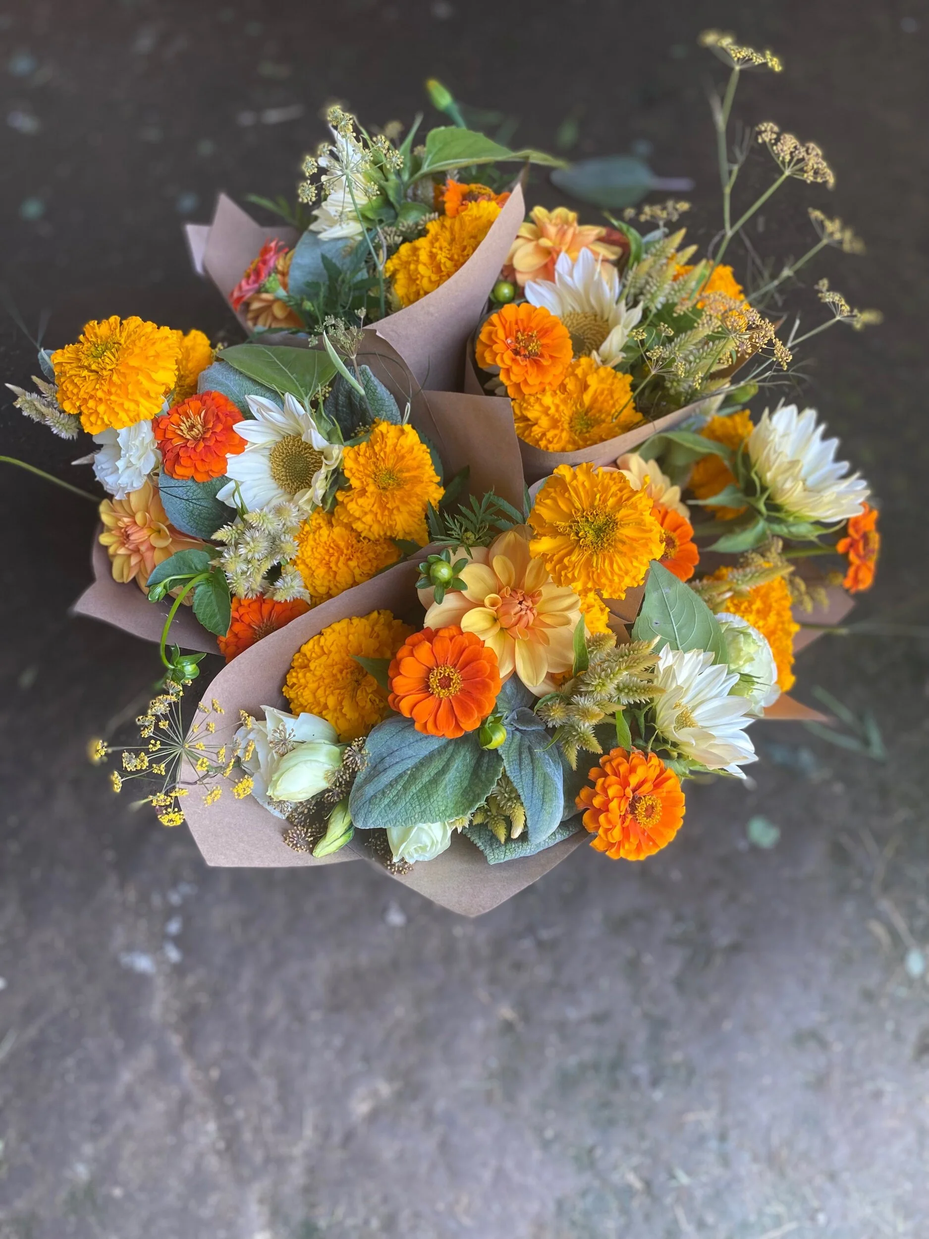 336AFE6D-E798-44FE-AA28-B457B3EEC269