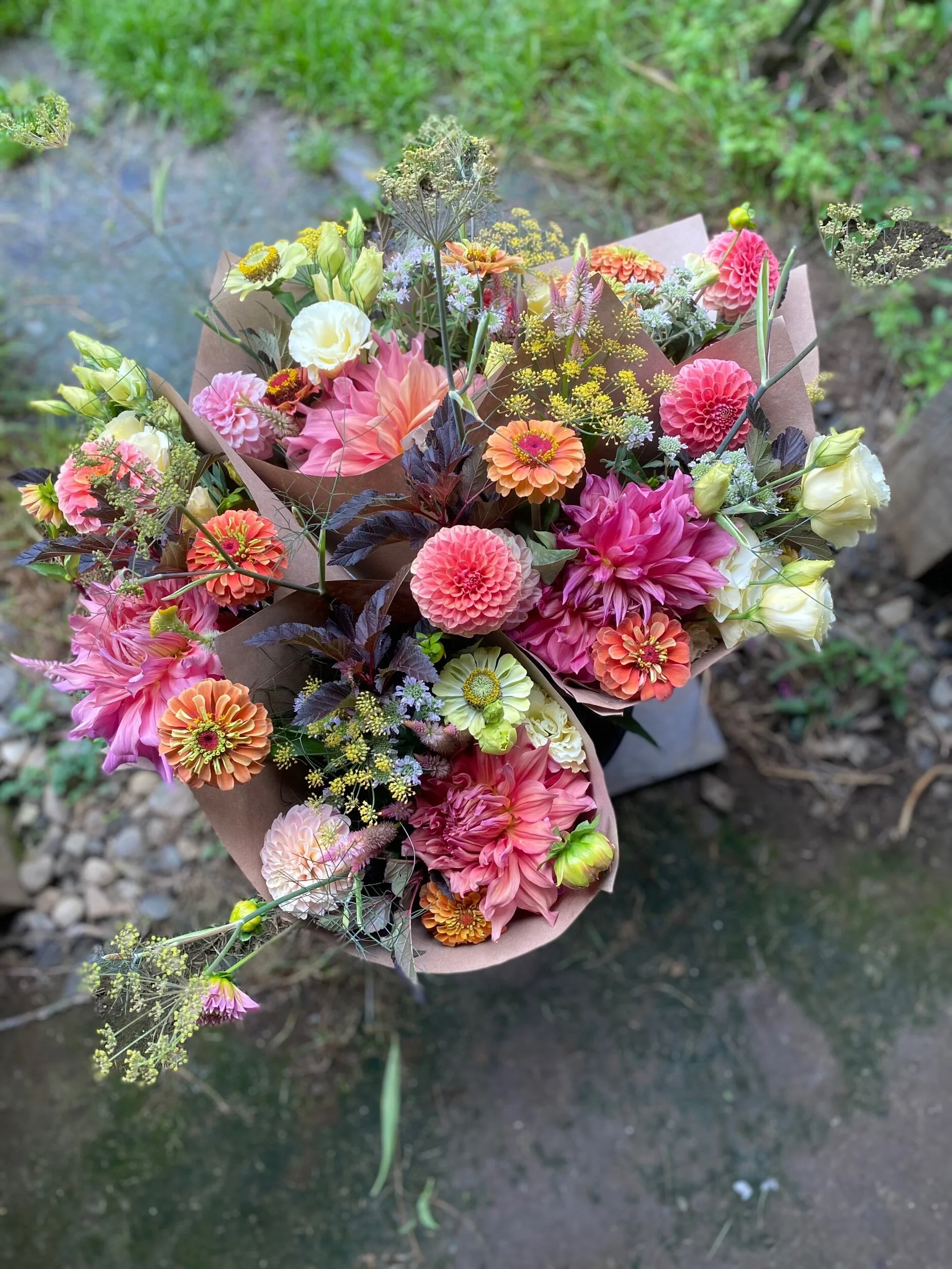 E7FB2C26-6A4E-45C3-BC74-1D285A3755C1