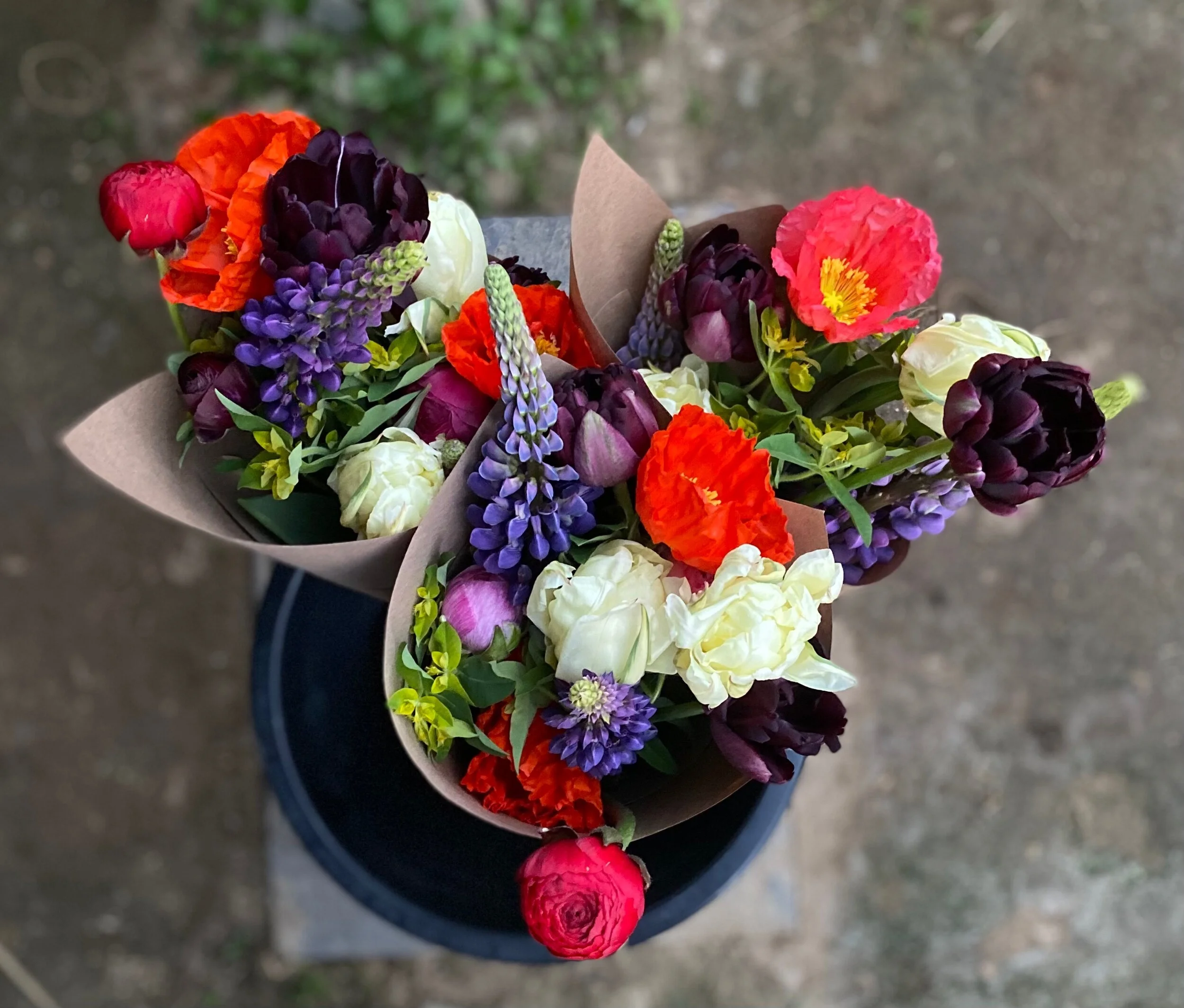 FB762DD3-3E98-448C-AB17-A3EDD58F19B0