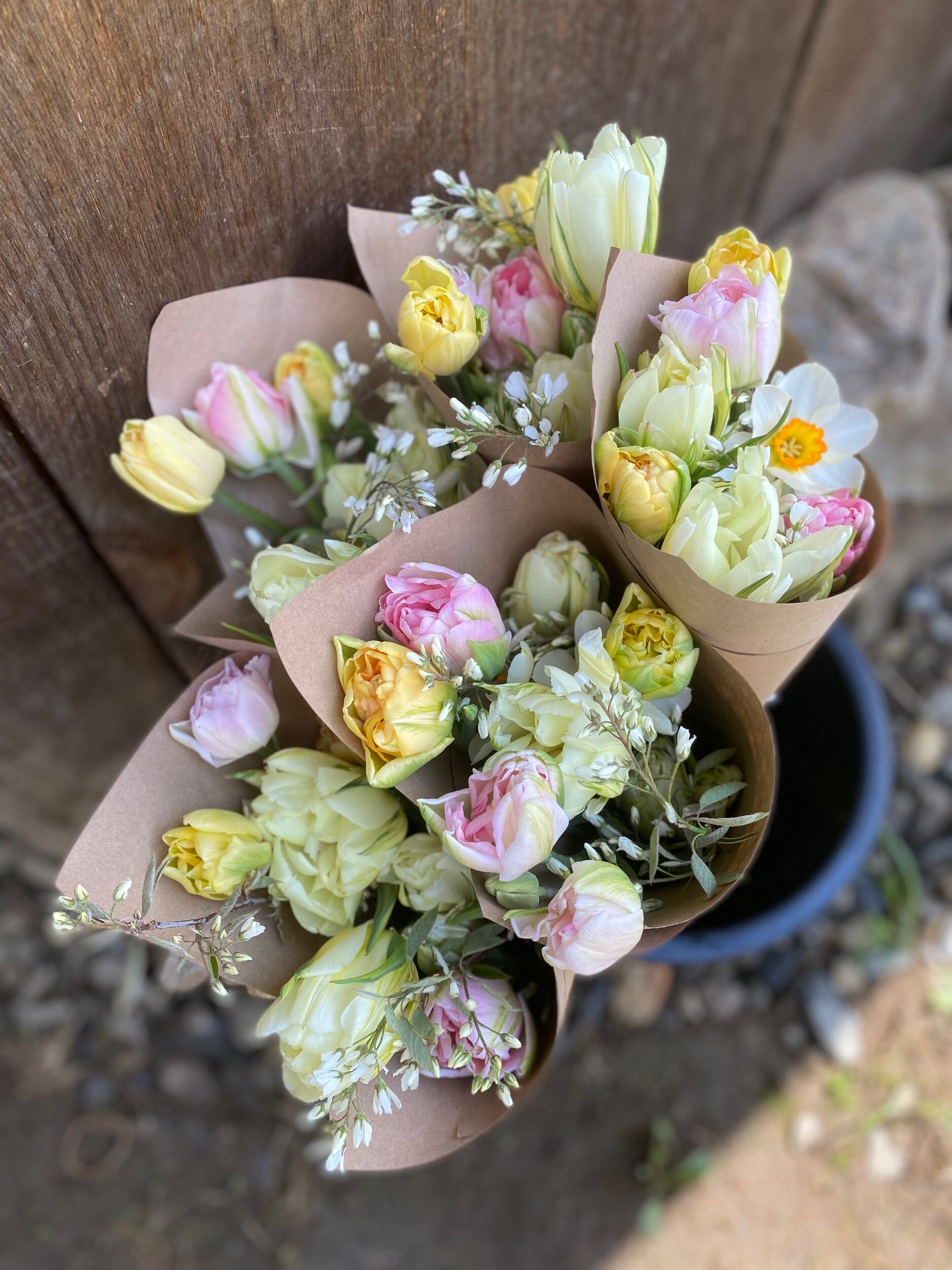 54E6D3D2-E70D-4EE4-9F45-4903CD10339A