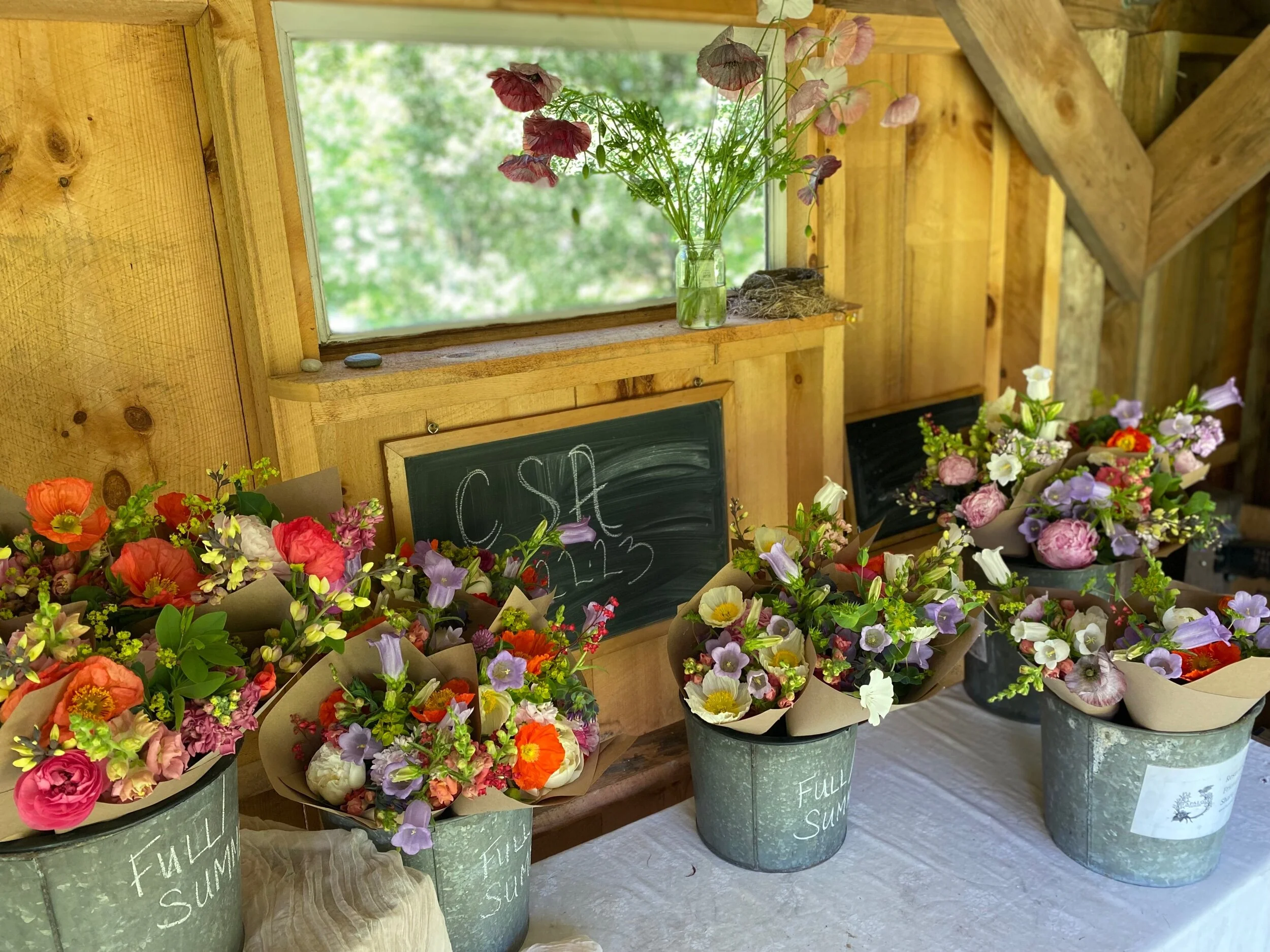 14F6E815-F99E-4CDB-9504-A66B5AB6A441