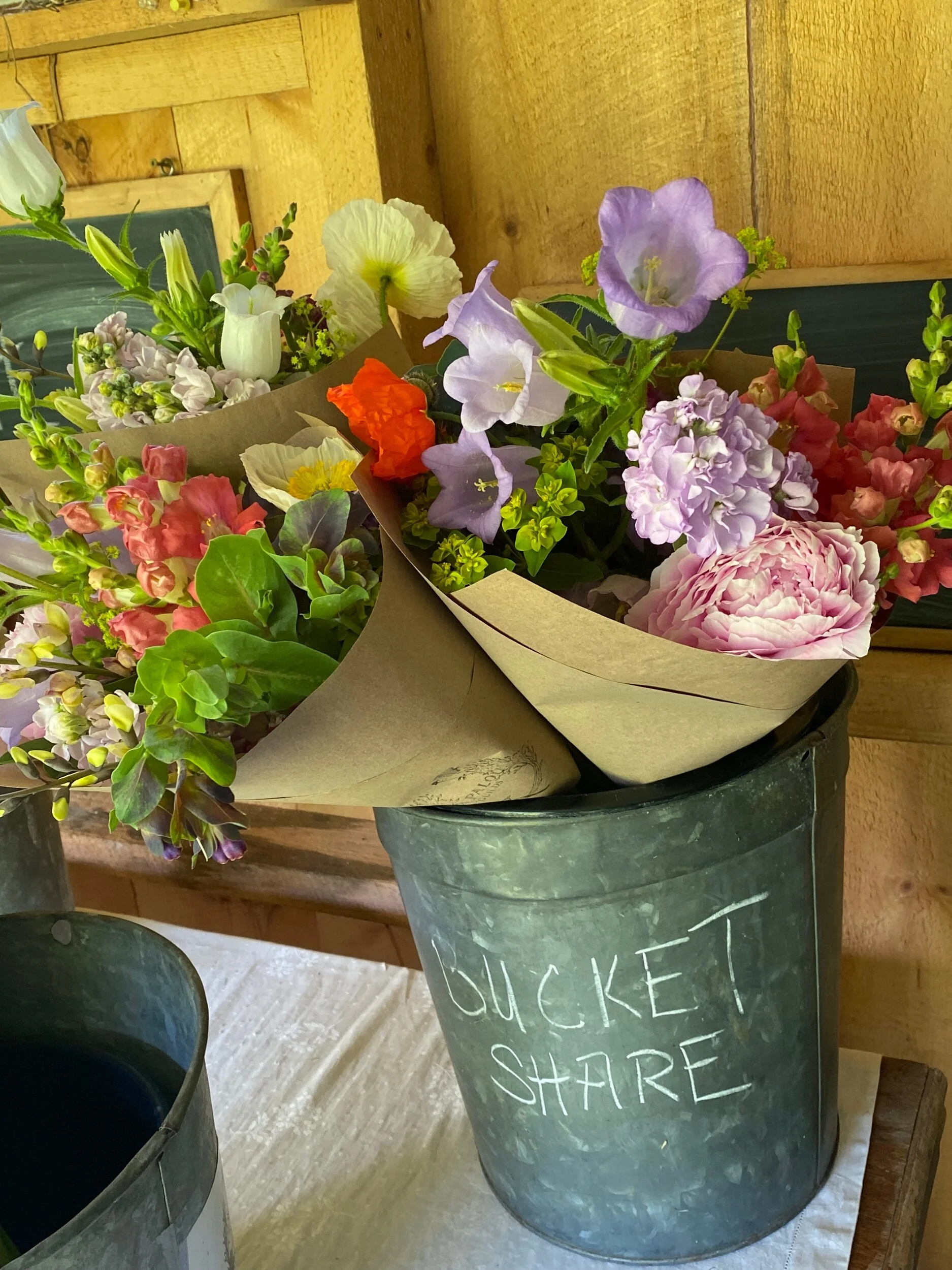 C1DAAD59-E39C-4FB0-84FB-BB2EFE1C7836