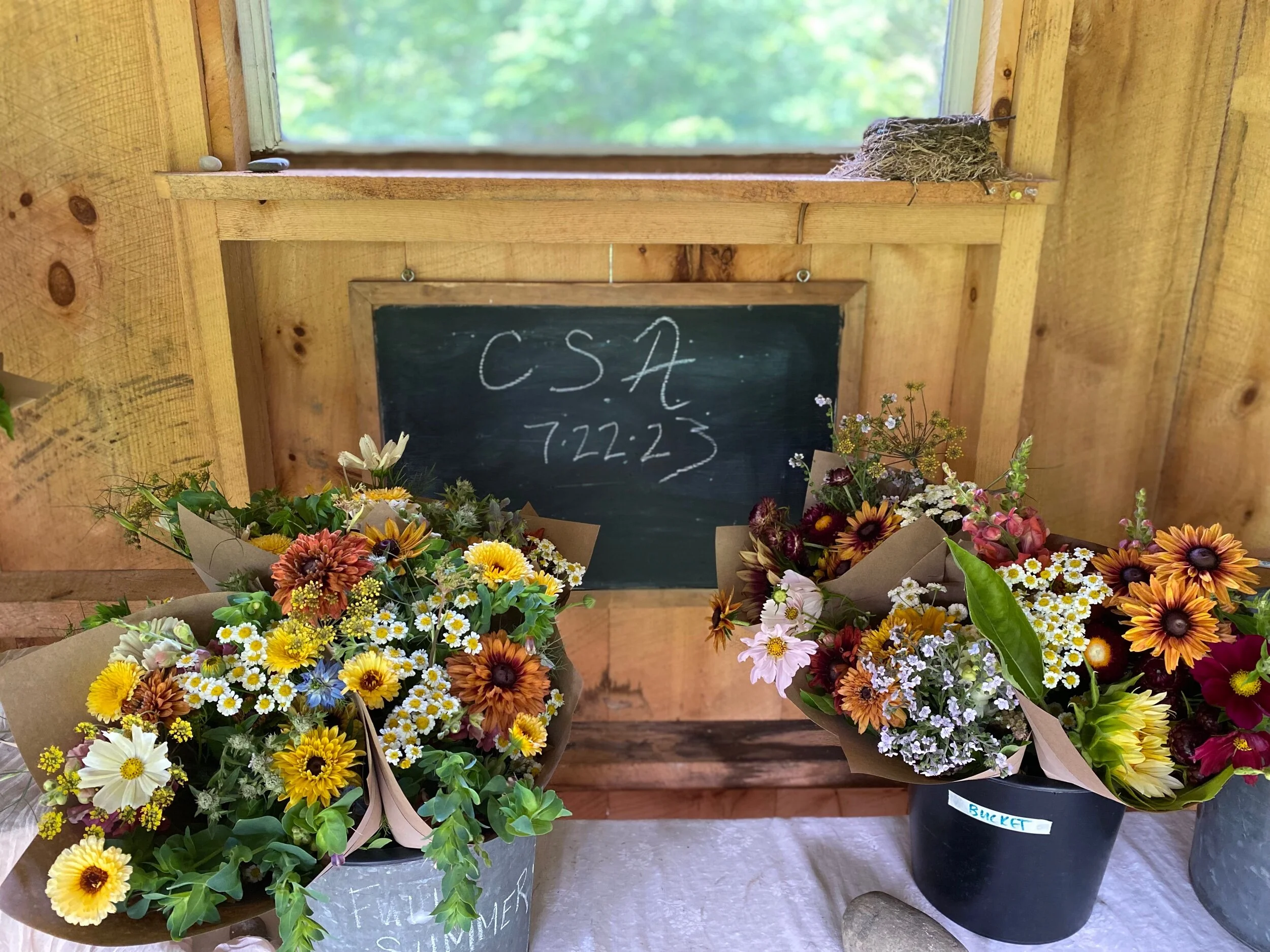 FFE64500-0903-435C-8395-226FFE4B9B31