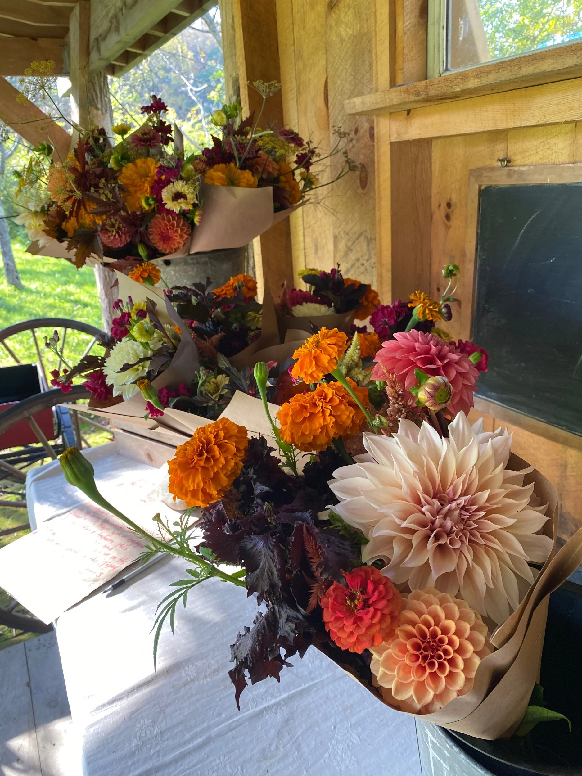 E073013E-45F3-439B-89A8-0FEE5490CC94