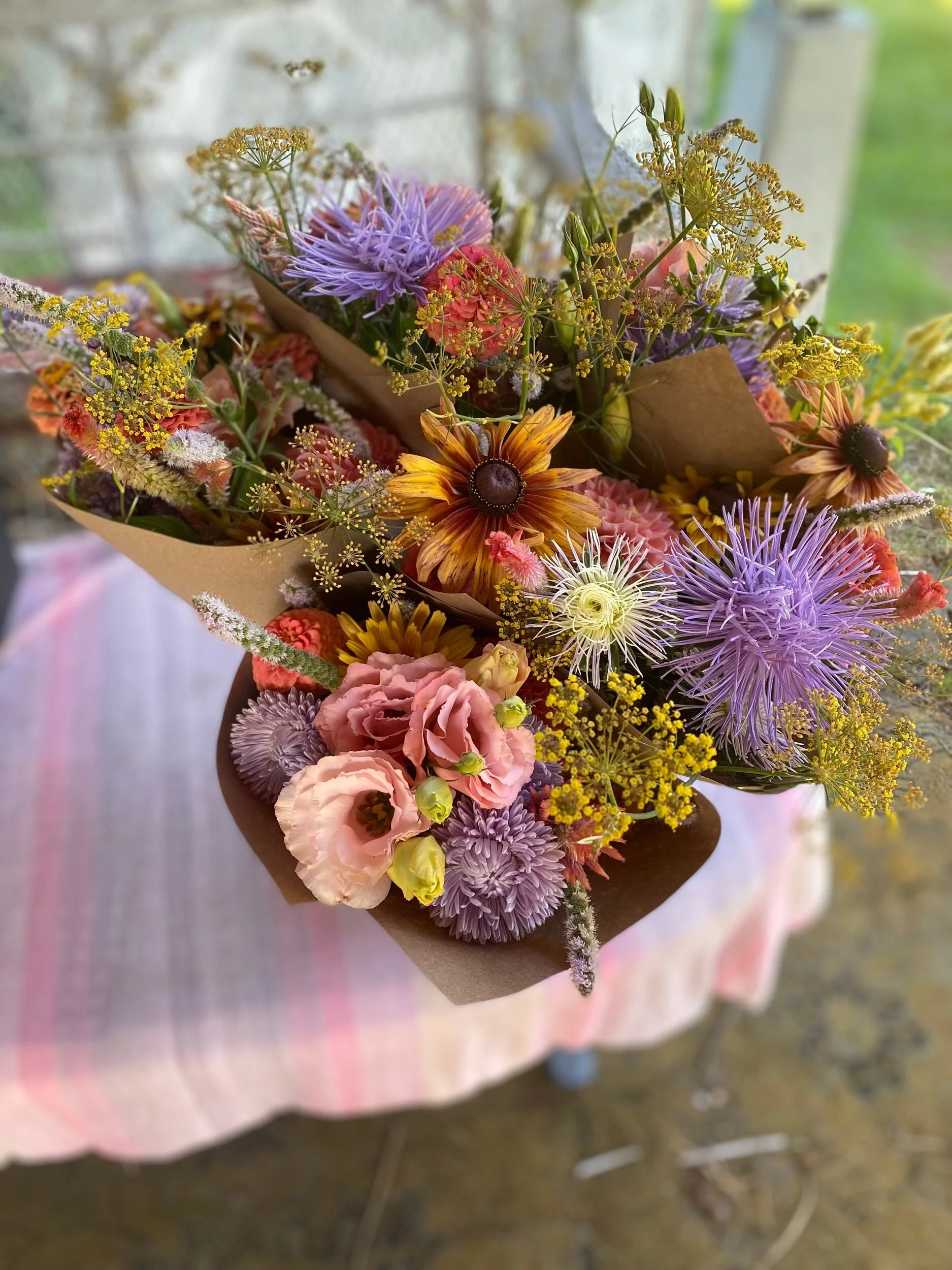 2F30D185-9ACA-42C6-9200-8D61A33D7571