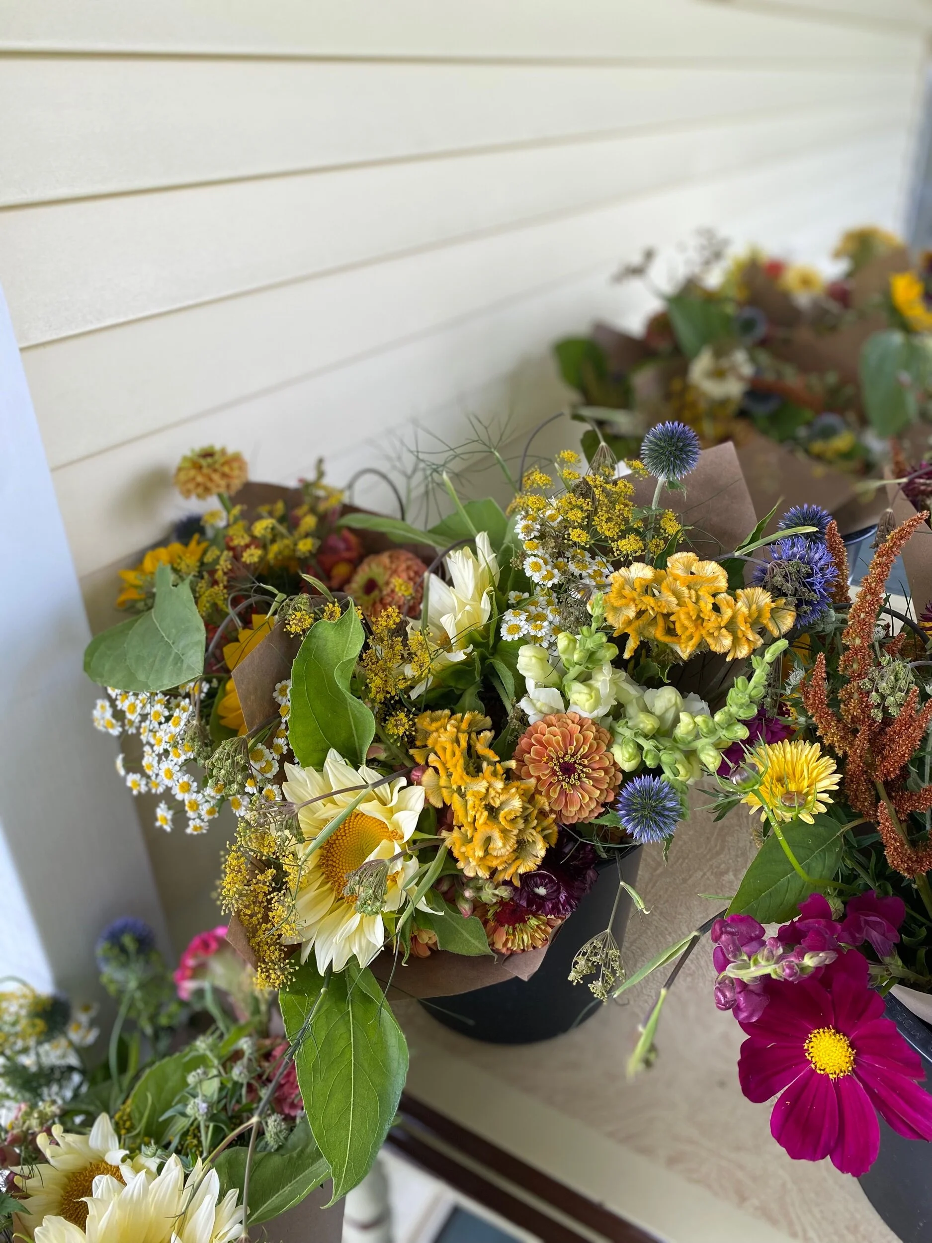 96922389-A6F4-45D4-867F-C223AE03B122