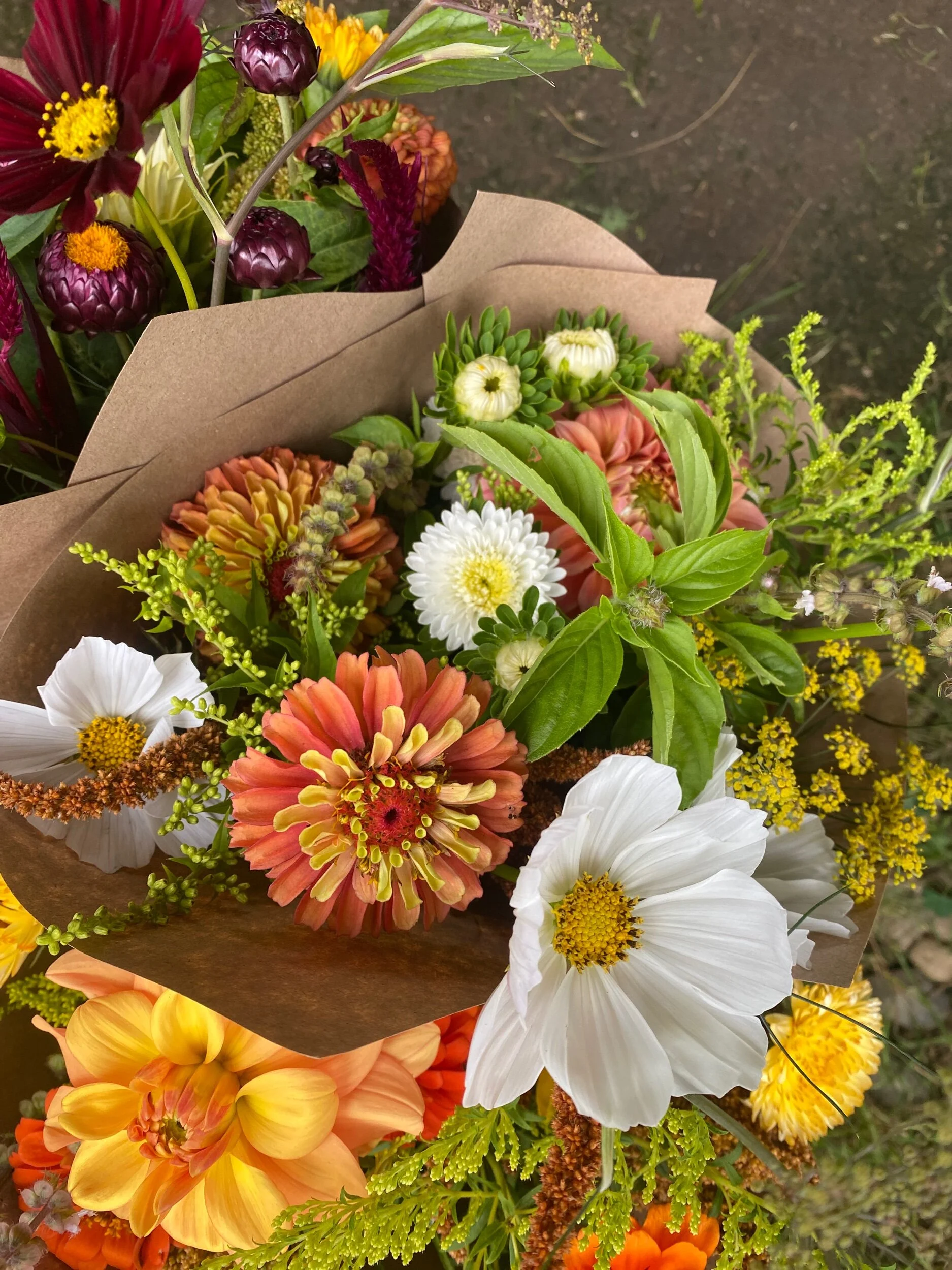 2049FFA9-4996-4EF5-9F1C-B72CEB18AF3D