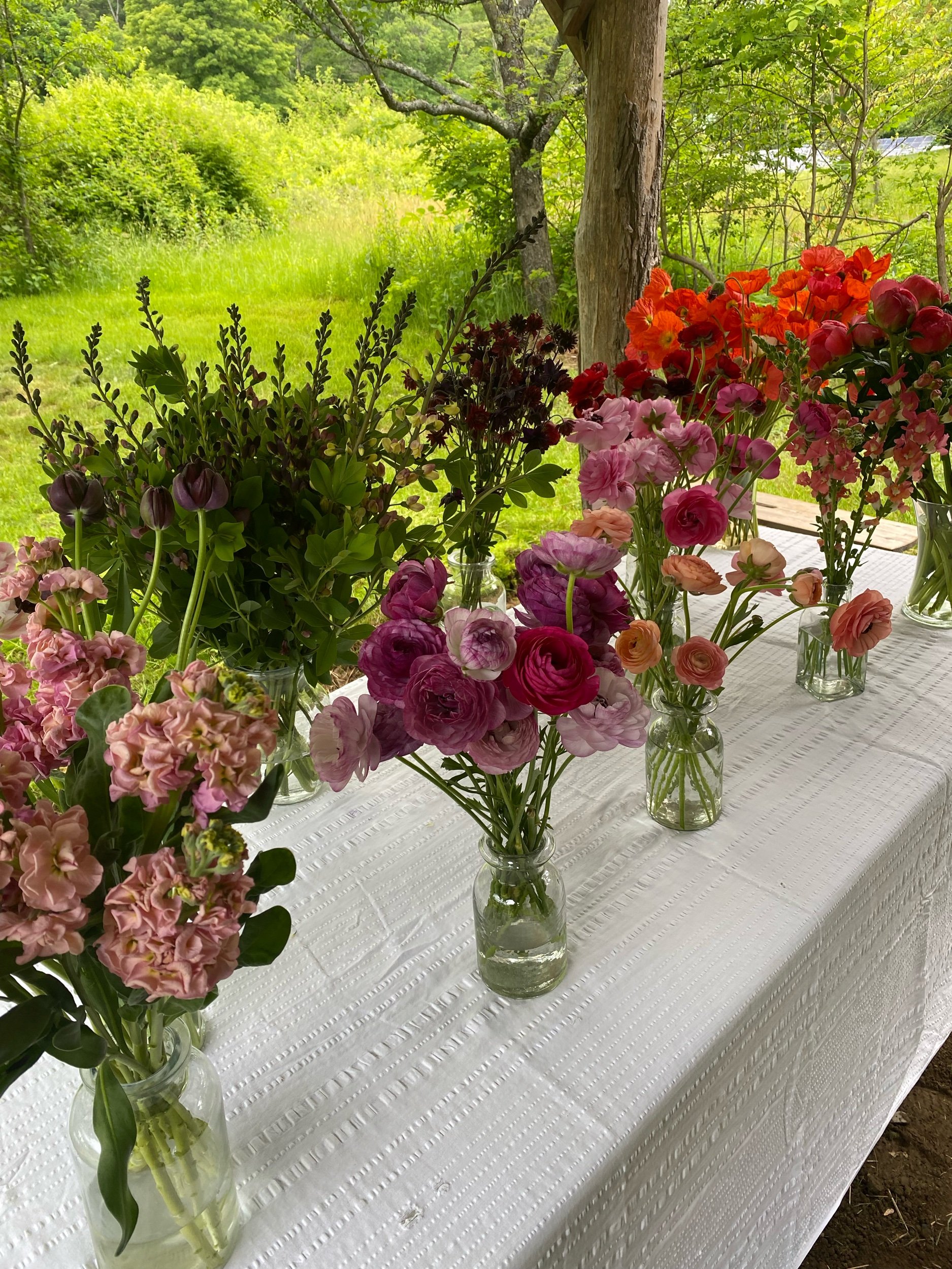 June Bloom Buffet on the Farm