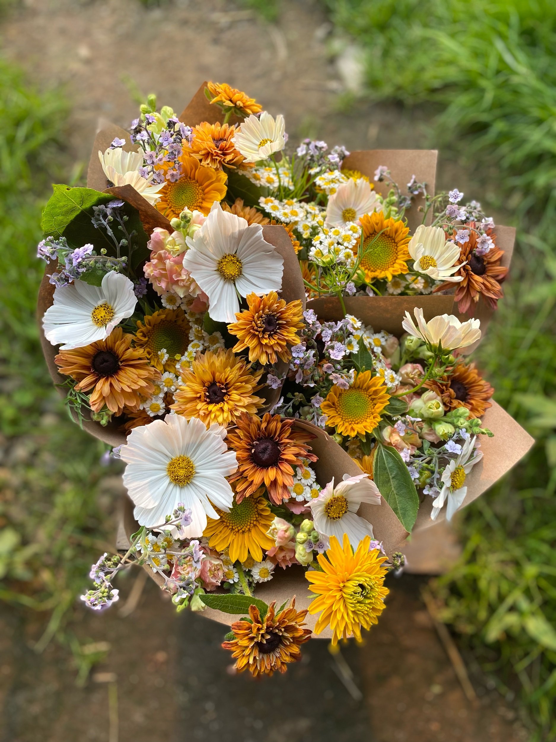 Summer CSA Bouquets