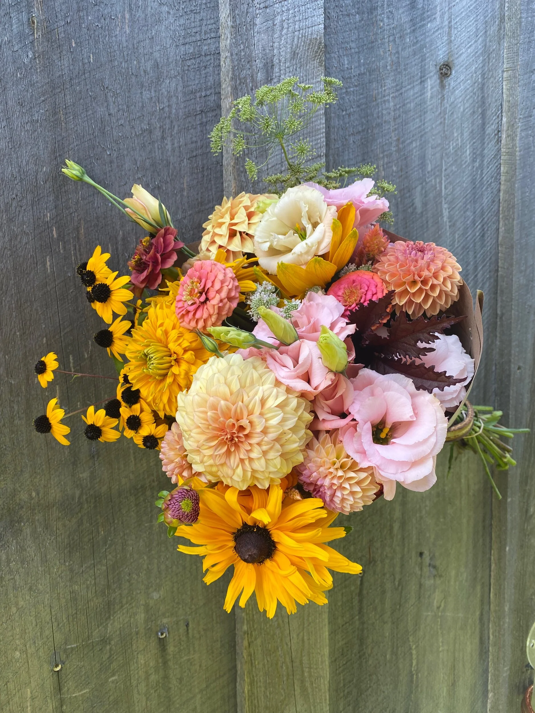 9B416061-DD43-4973-AE45-1E8F10CD6A6B