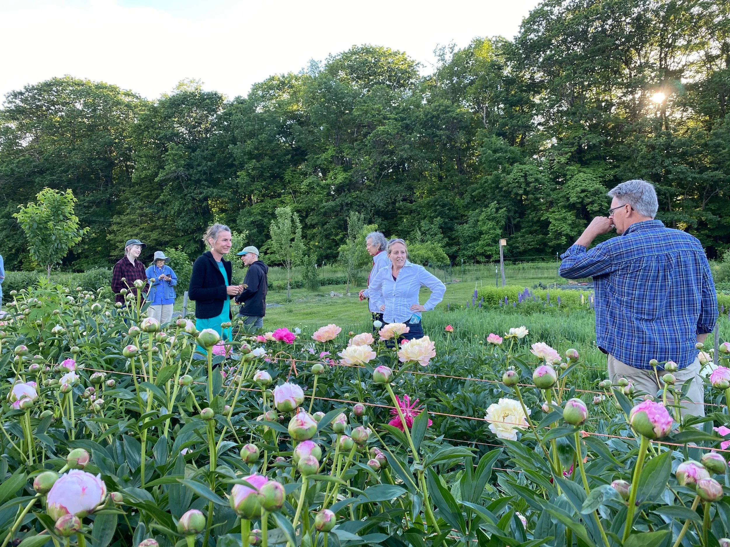 B06D998B-2F3C-48CE-A12E-2DCCAACB3C99.jpeg (Copy)