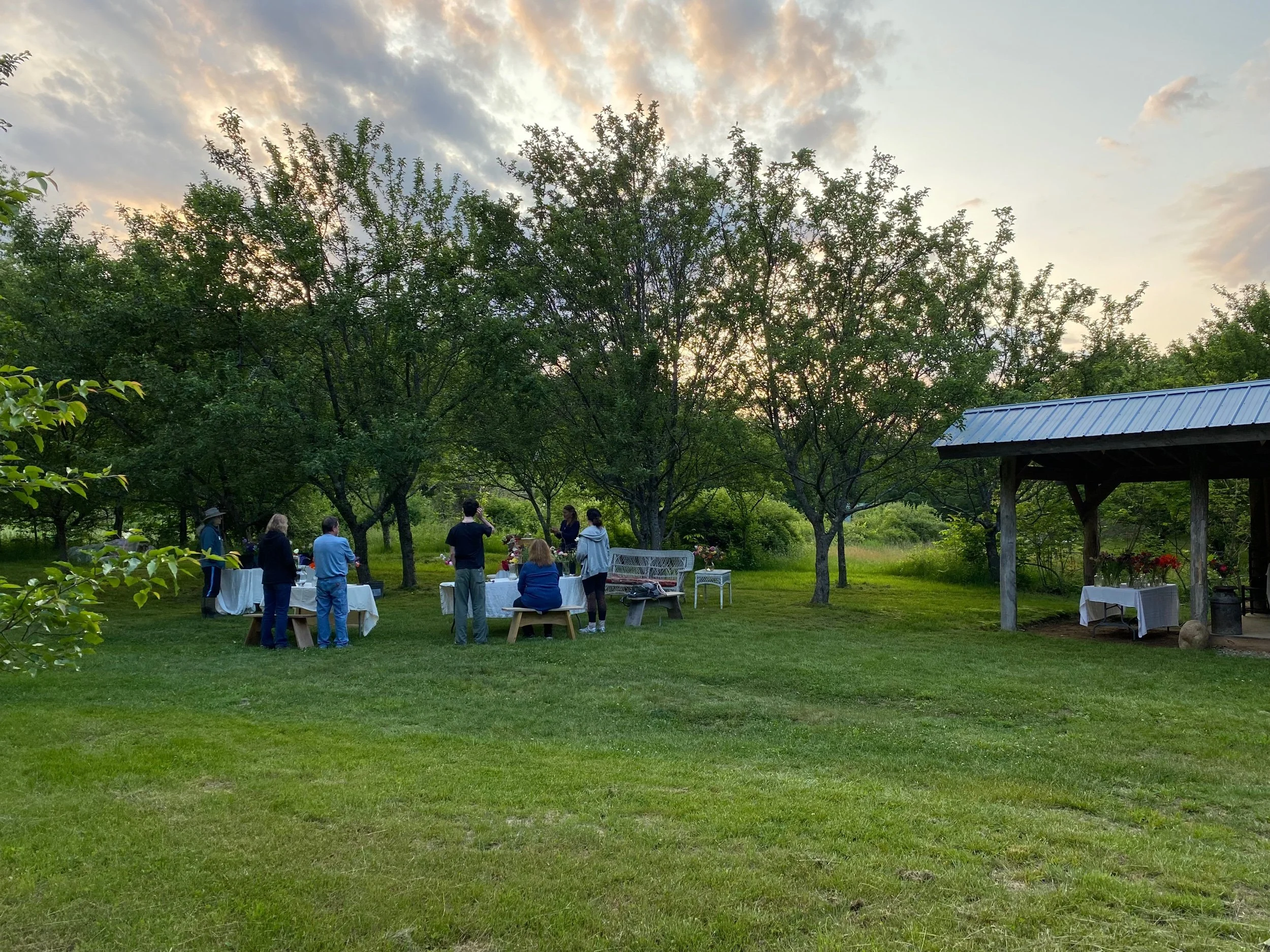 3A7DD008-62C2-46FA-8397-28995CFF48BA.jpeg (Copy)