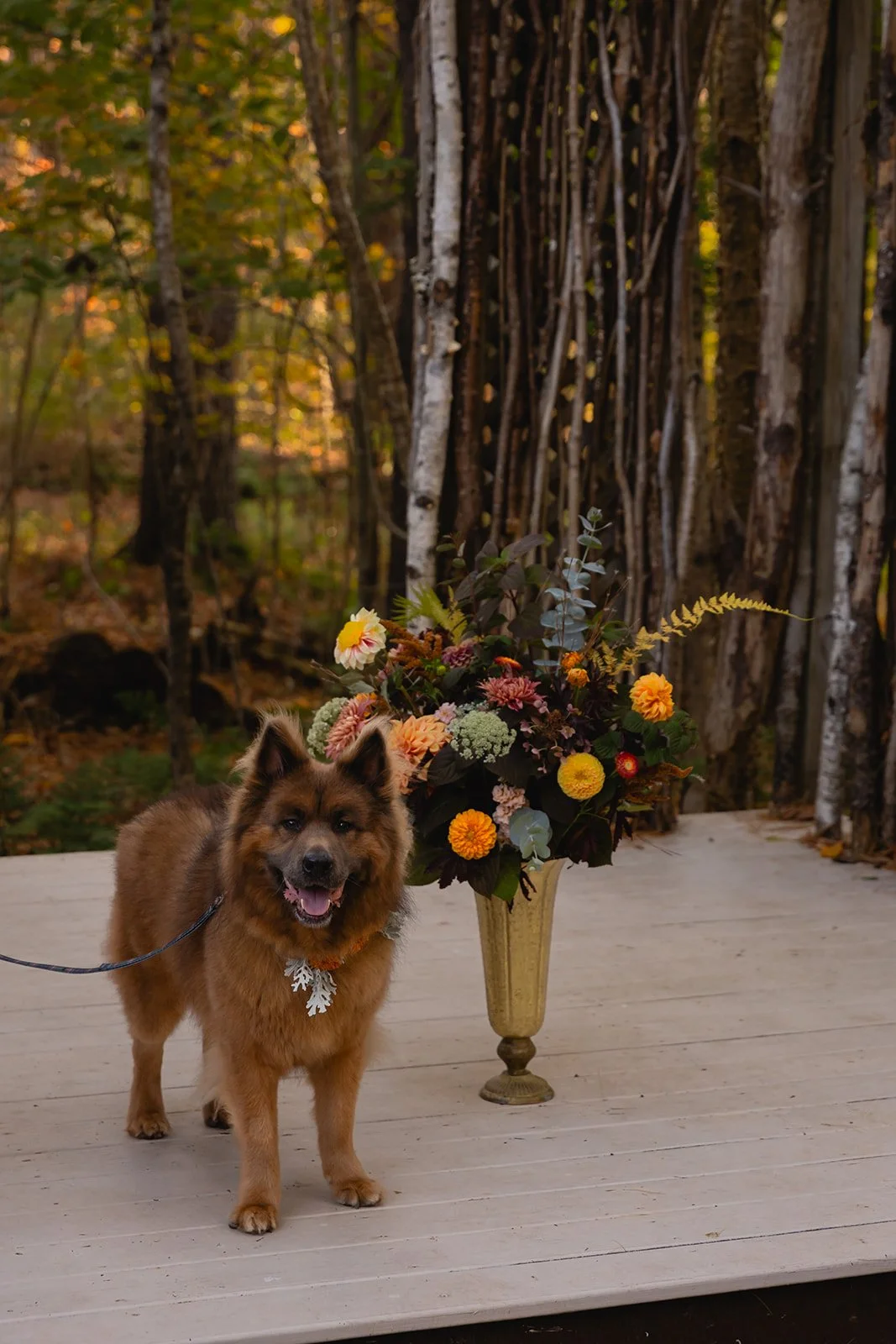 Rose + Dylan_Wedding_Final_Ceremony-77_websize.jpg