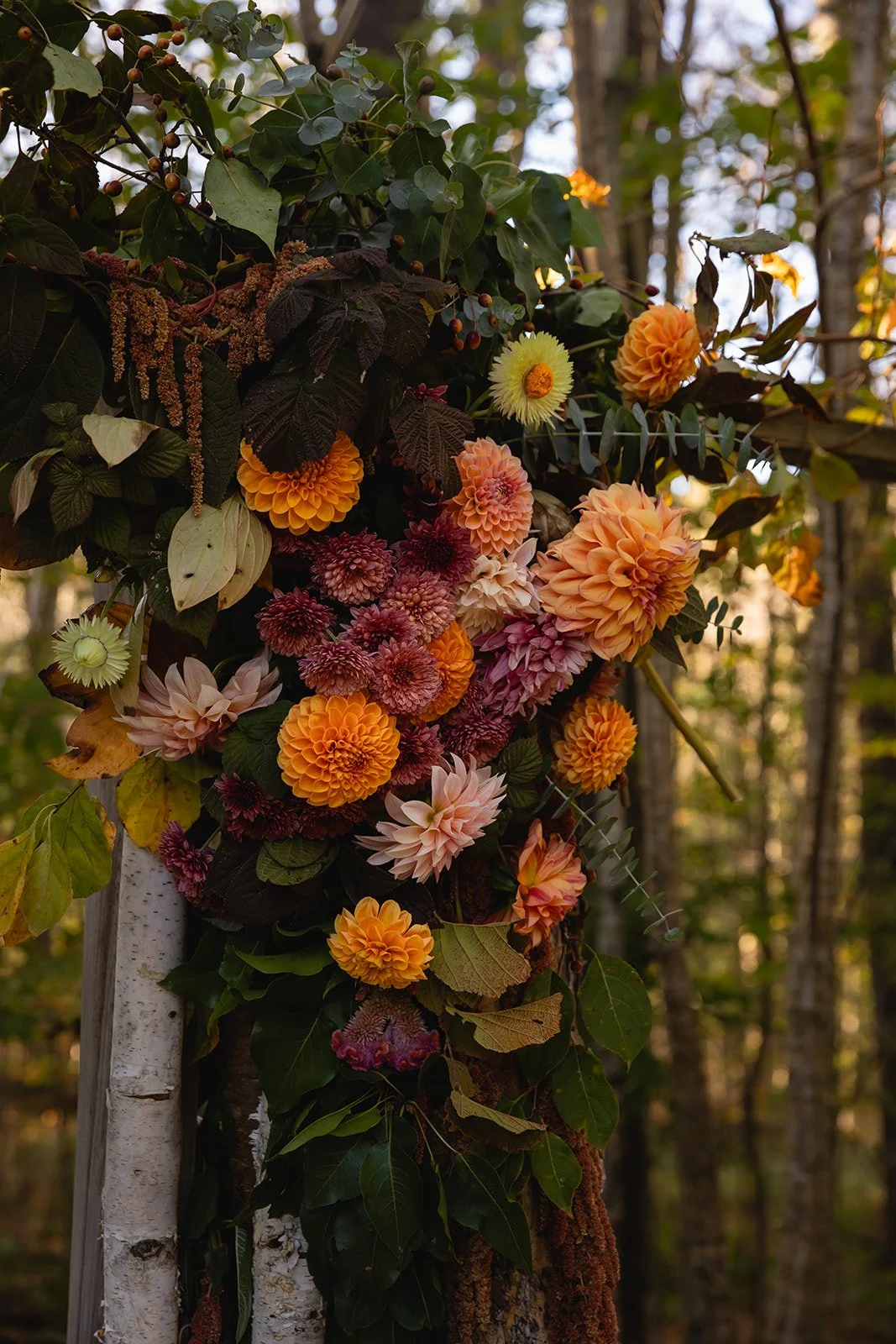 Rose + Dylan_Wedding_Final_Ceremony-11_websize.jpg