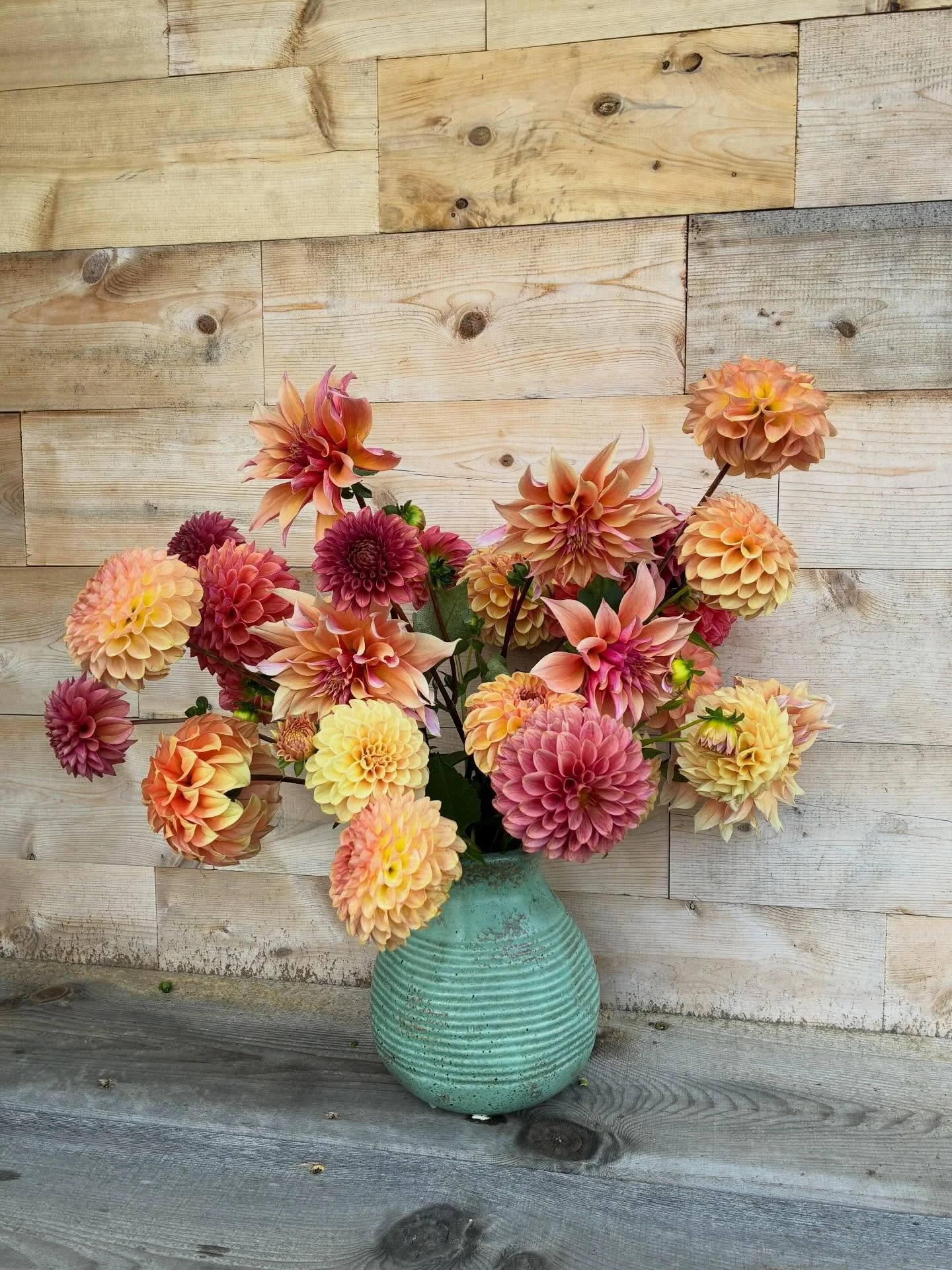 Imagine the souls that move through the bodies of flowers.