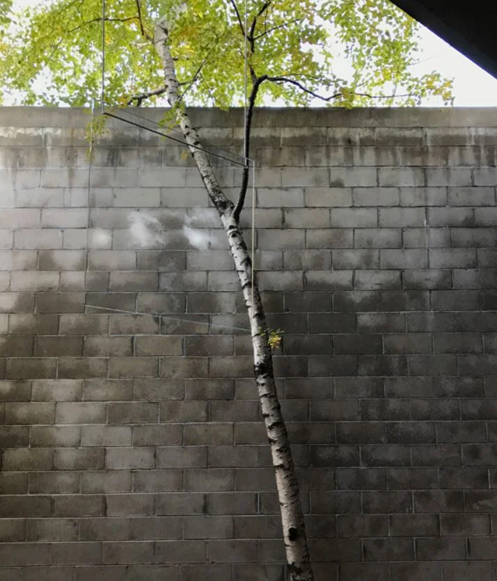 New York | Miya Ando: Clouds