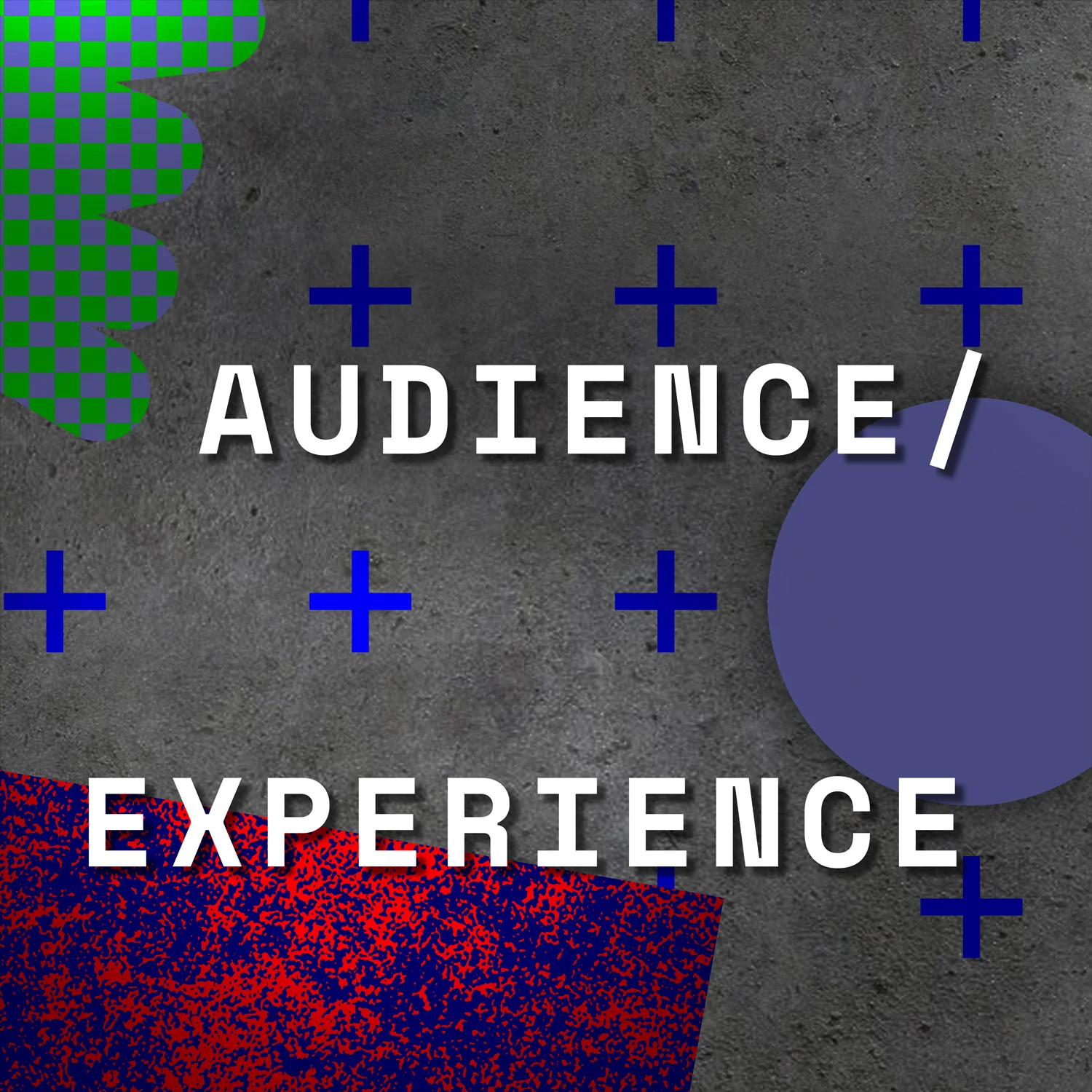 Audience-Experience-Title-Image.jpg
