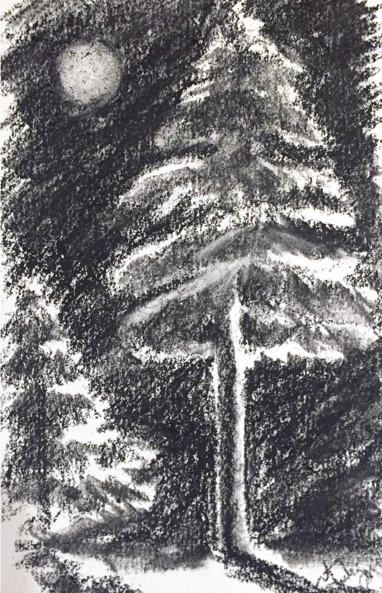 23:100.JPG