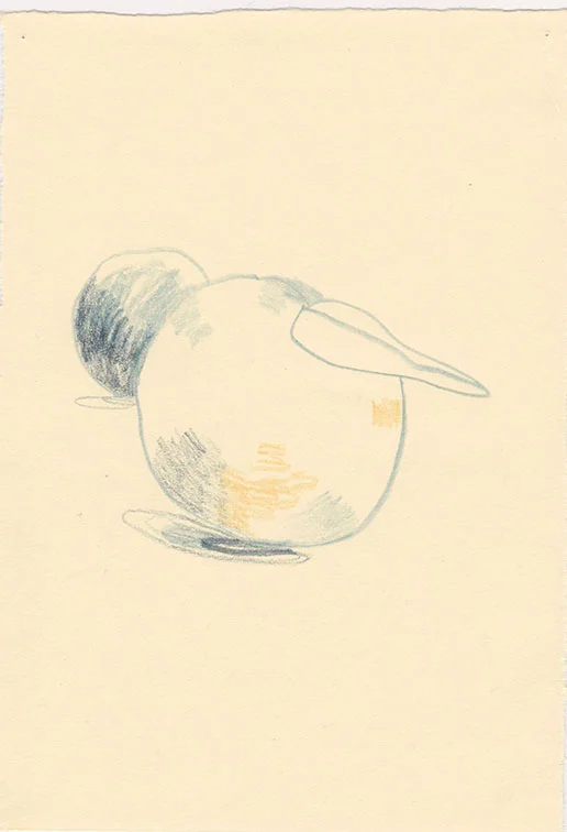 Scan 1a.jpeg